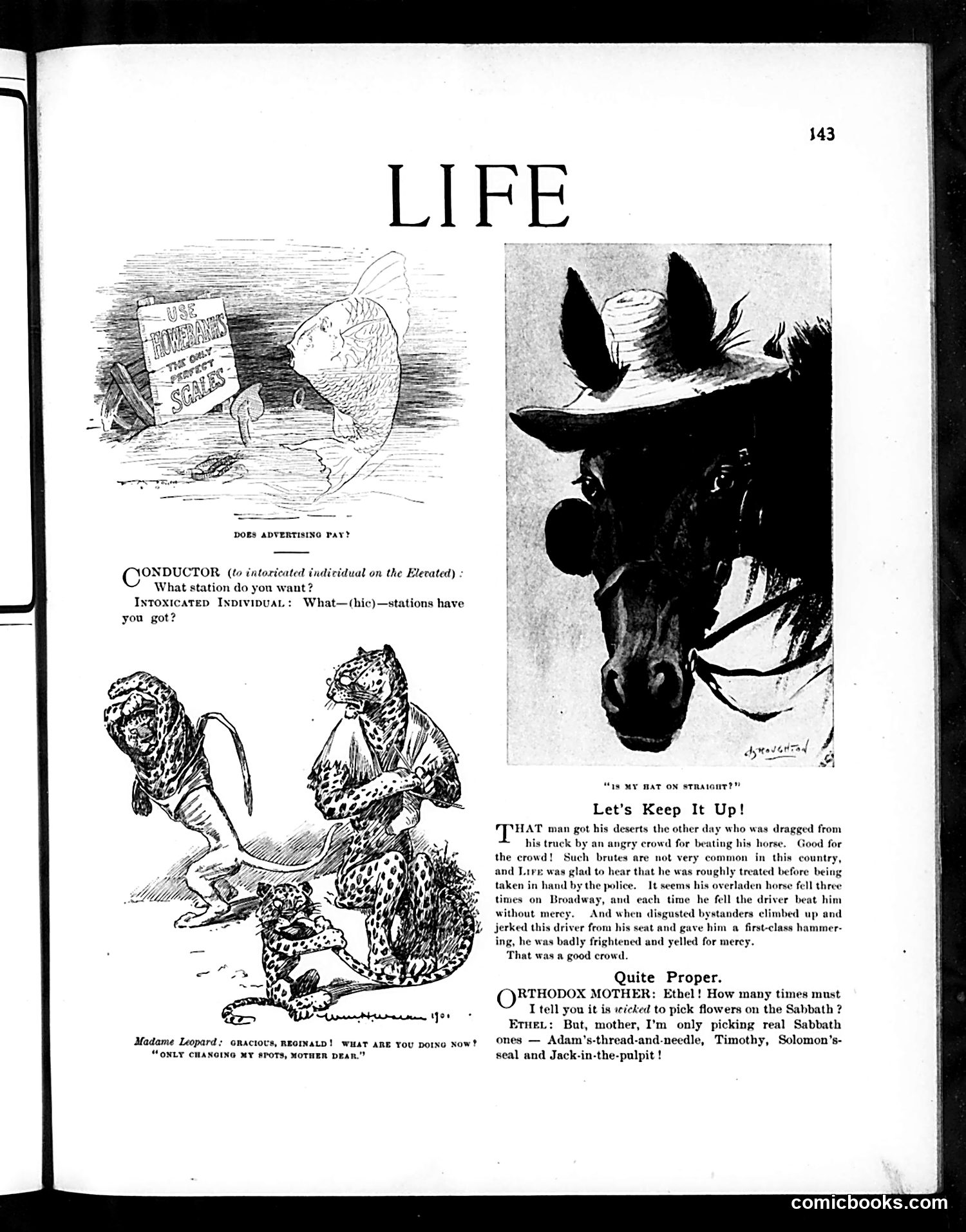 Life — August 22, 1901 — page 3: Life, 1901-08-22