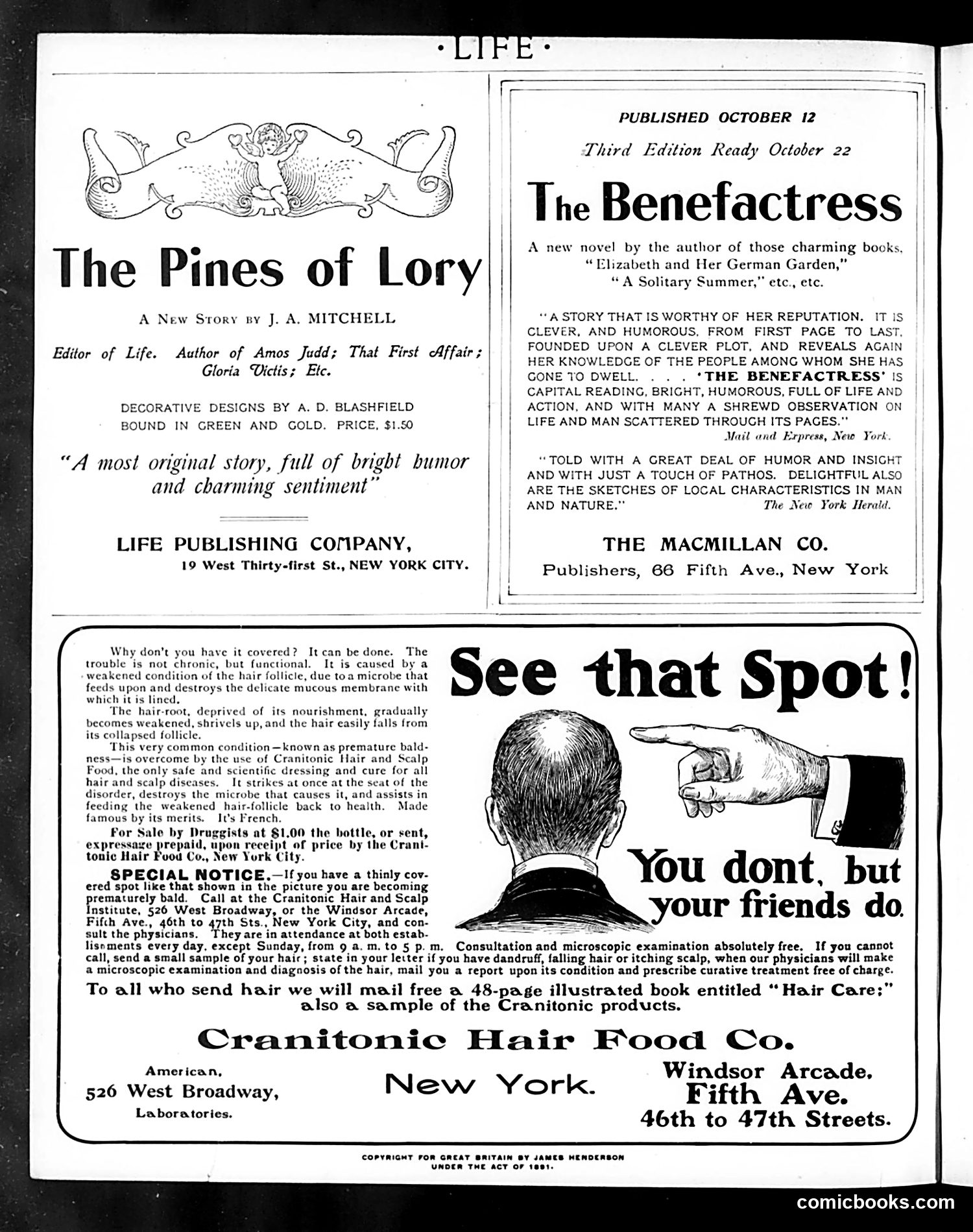 Life — October 31, 1901 — page 2: Life, 1901-10-31
