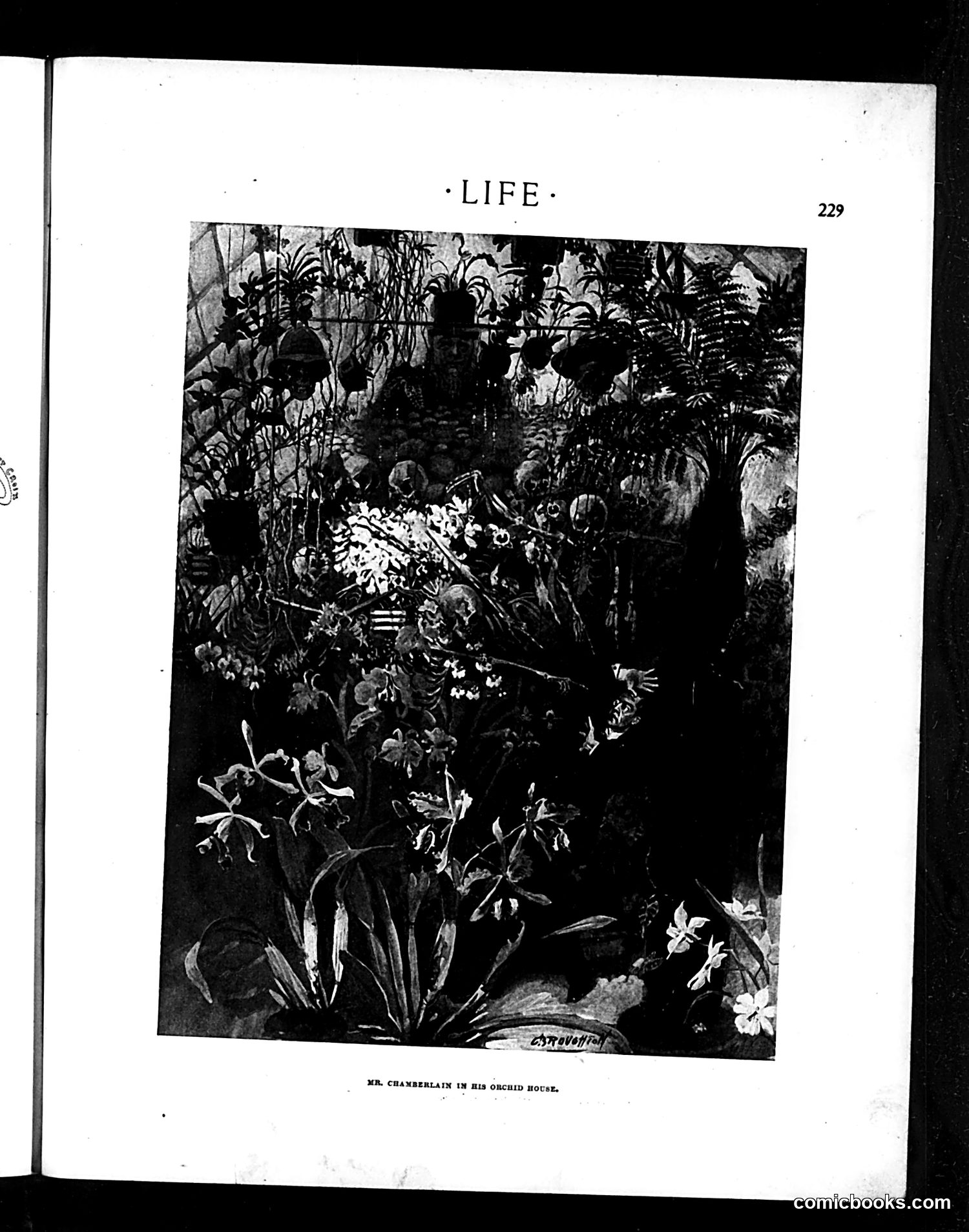 Life — March 20, 1902 — page 7: Life, 1902-03-20
