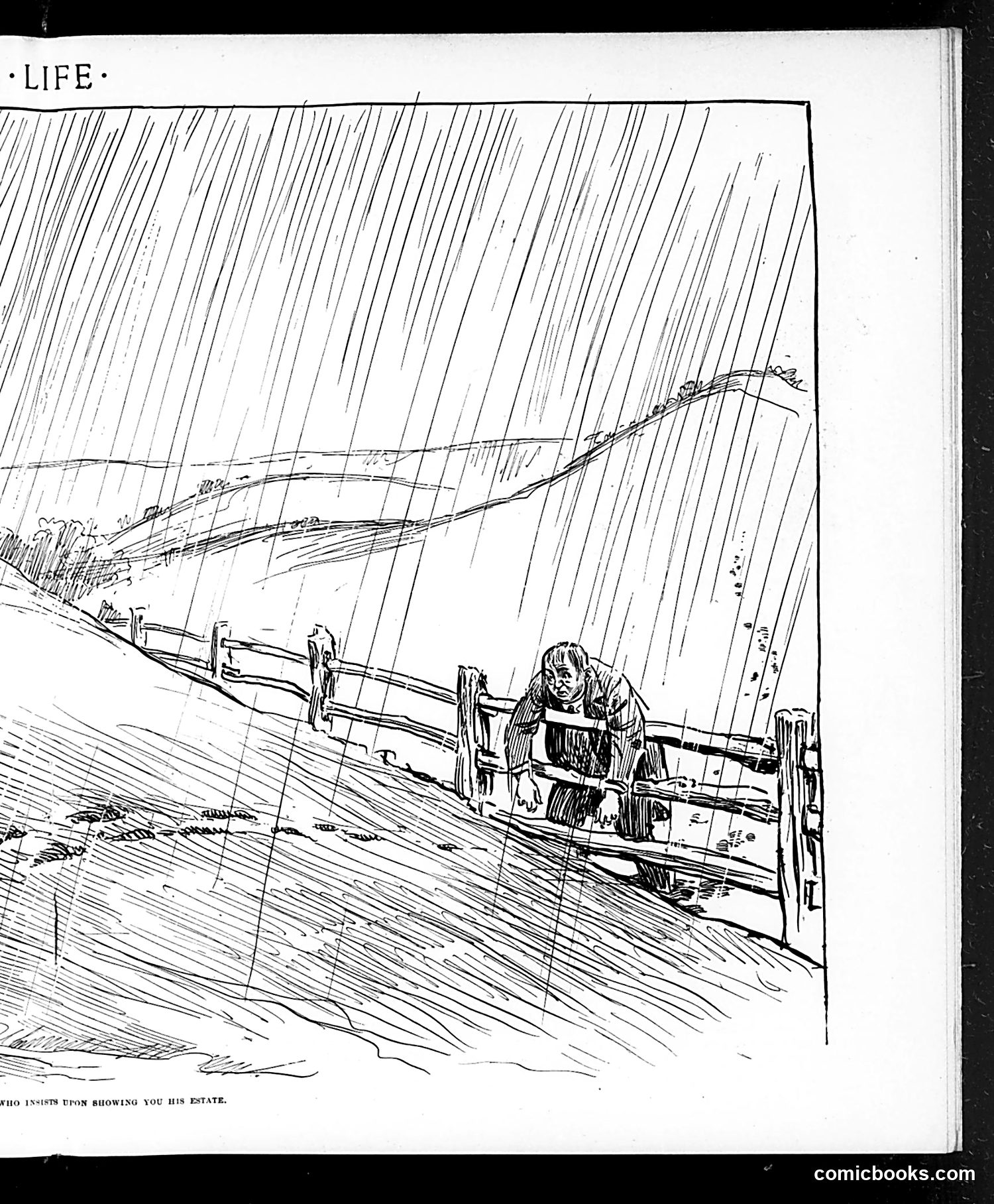 Life — June 26, 1902 — page 11: Life, 1902-06-26
