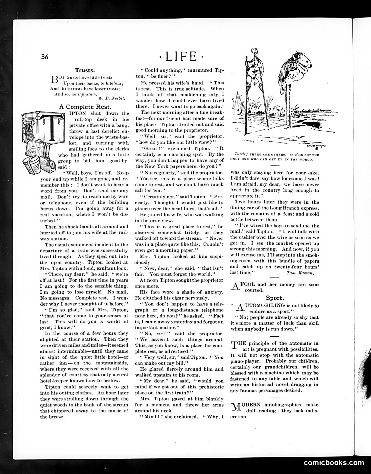 Life — July 10, 1902 — page 10: Life, 1902-07-10