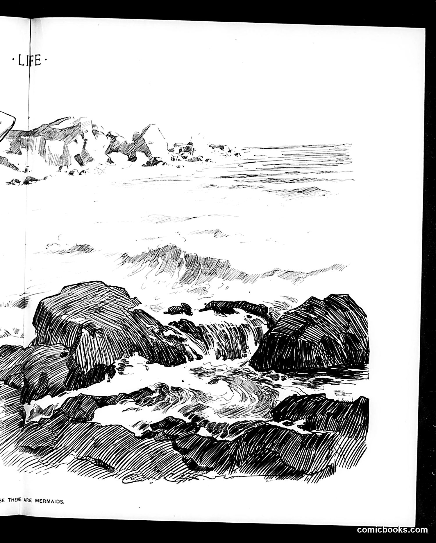 Life — July 17, 1902 — page 11: Life, 1902-07-17