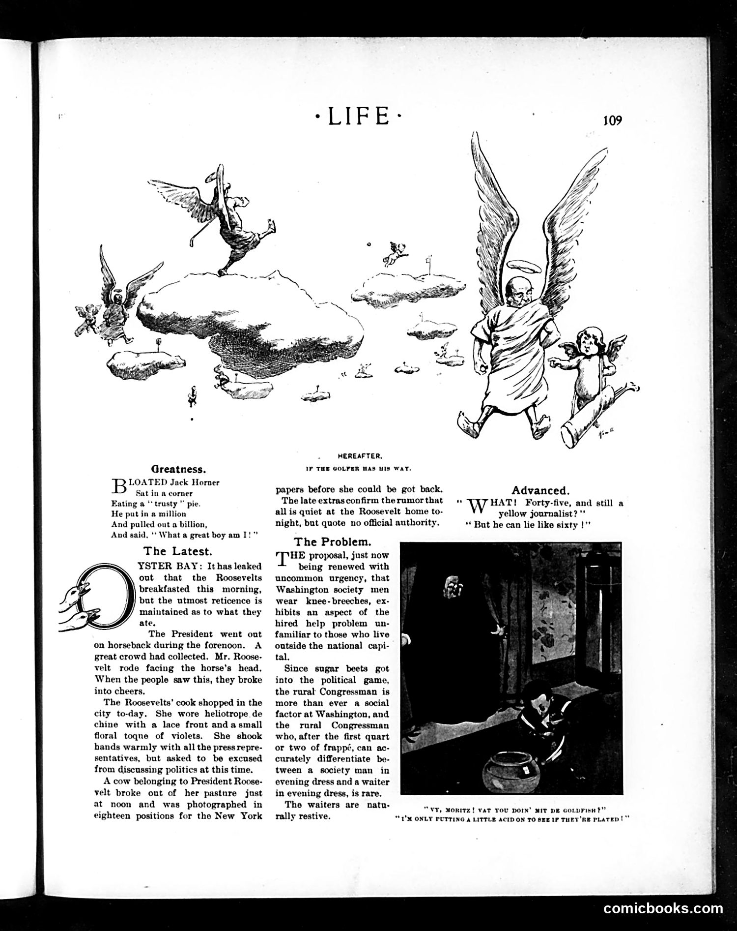 Life — August 7, 1902 — page 5: Life, 1902-08-07
