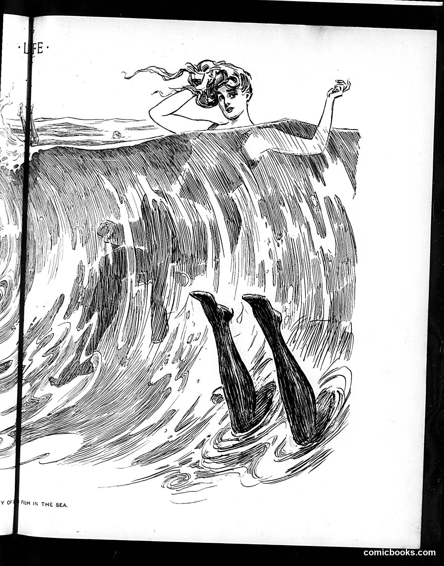 Life — August 7, 1902 — page 11: Life, 1902-08-07