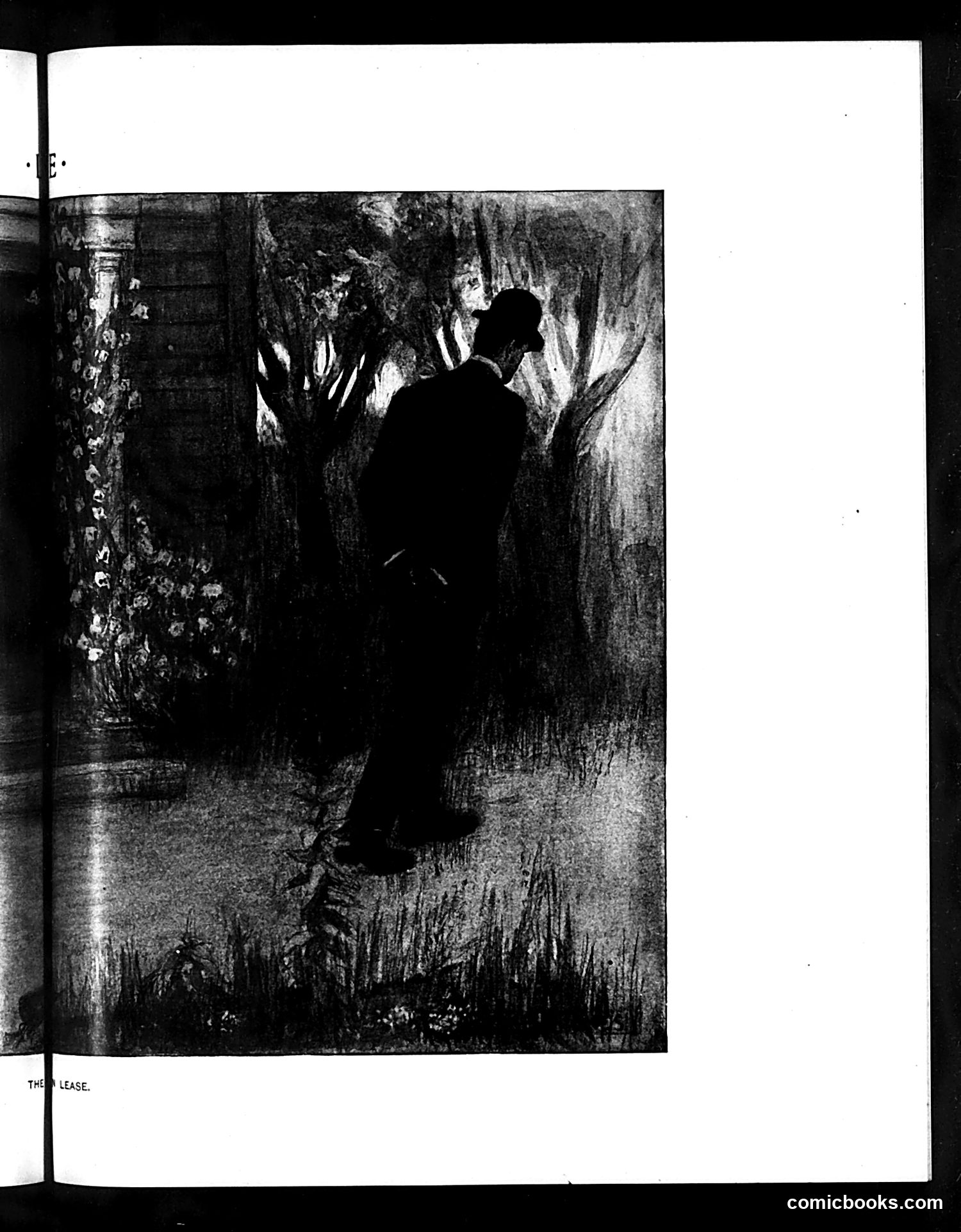 Life — May 21, 1903 — page 13: Life, 1903-05-21