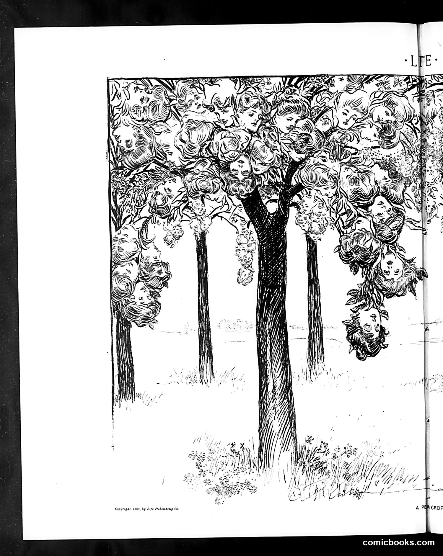 Life — June 25, 1903 — page 10: Life, 1903-06-25