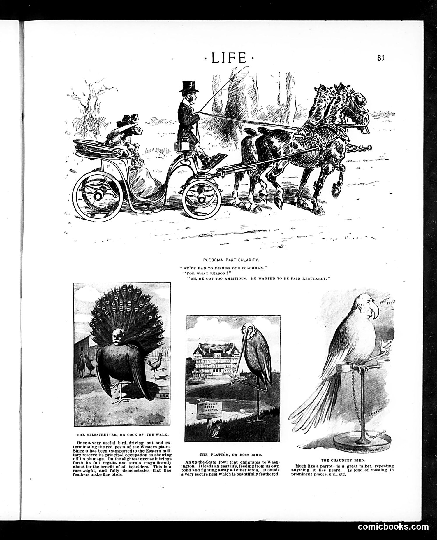 Life — July 23, 1903 — page 9: Life, 1903-07-23
