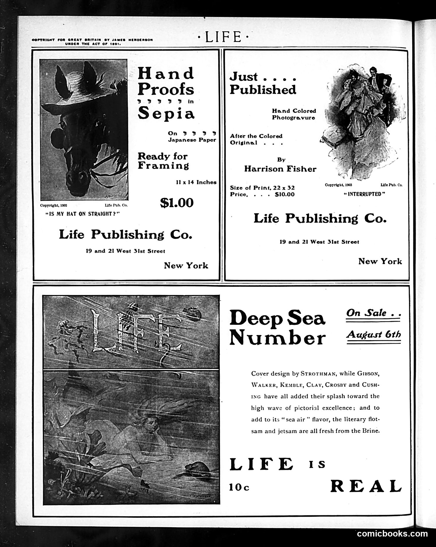Life — July 30, 1903 — page 2: Life, 1903-07-30