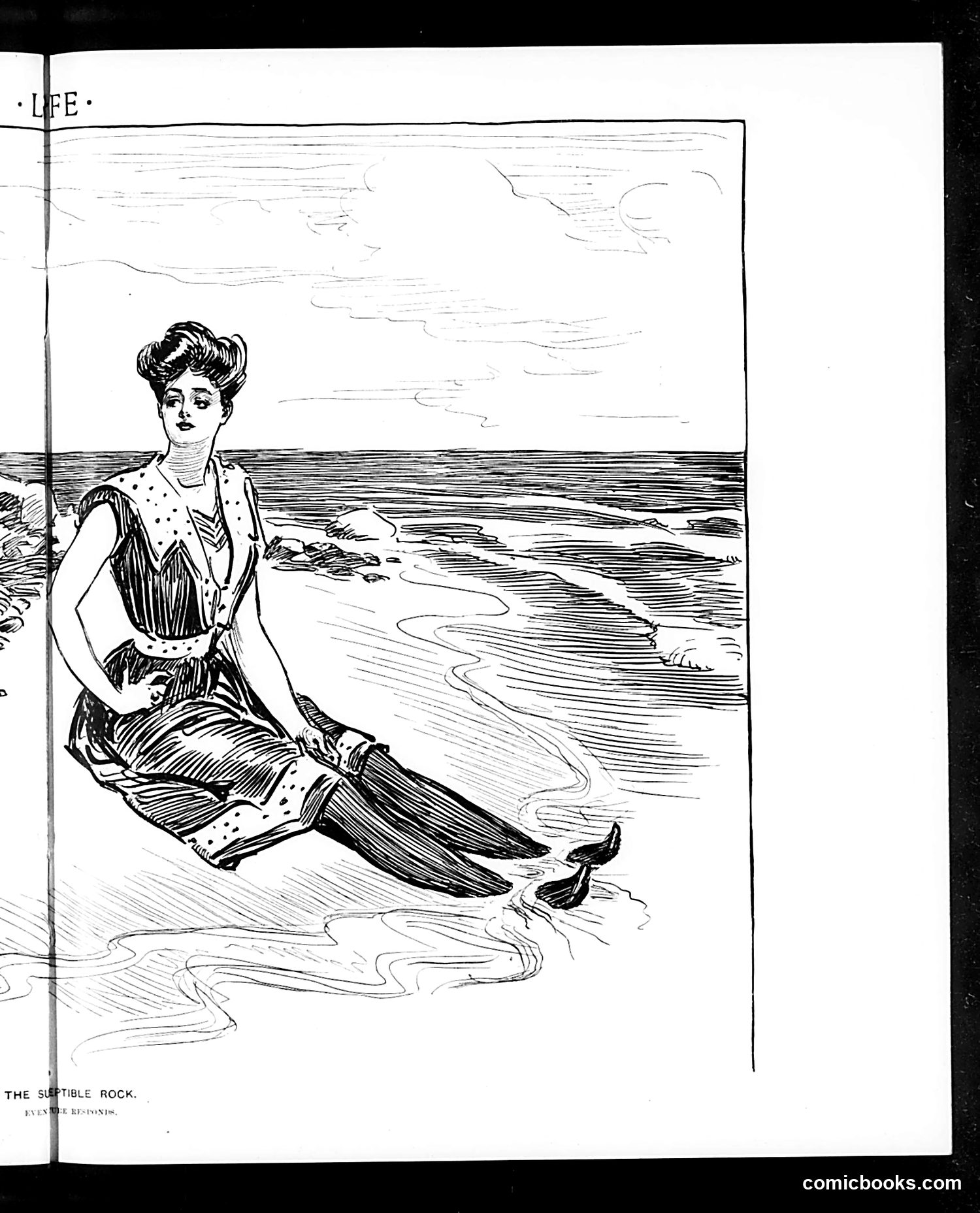 Life — August 27, 1903 — page 11: Life, 1903-08-27
