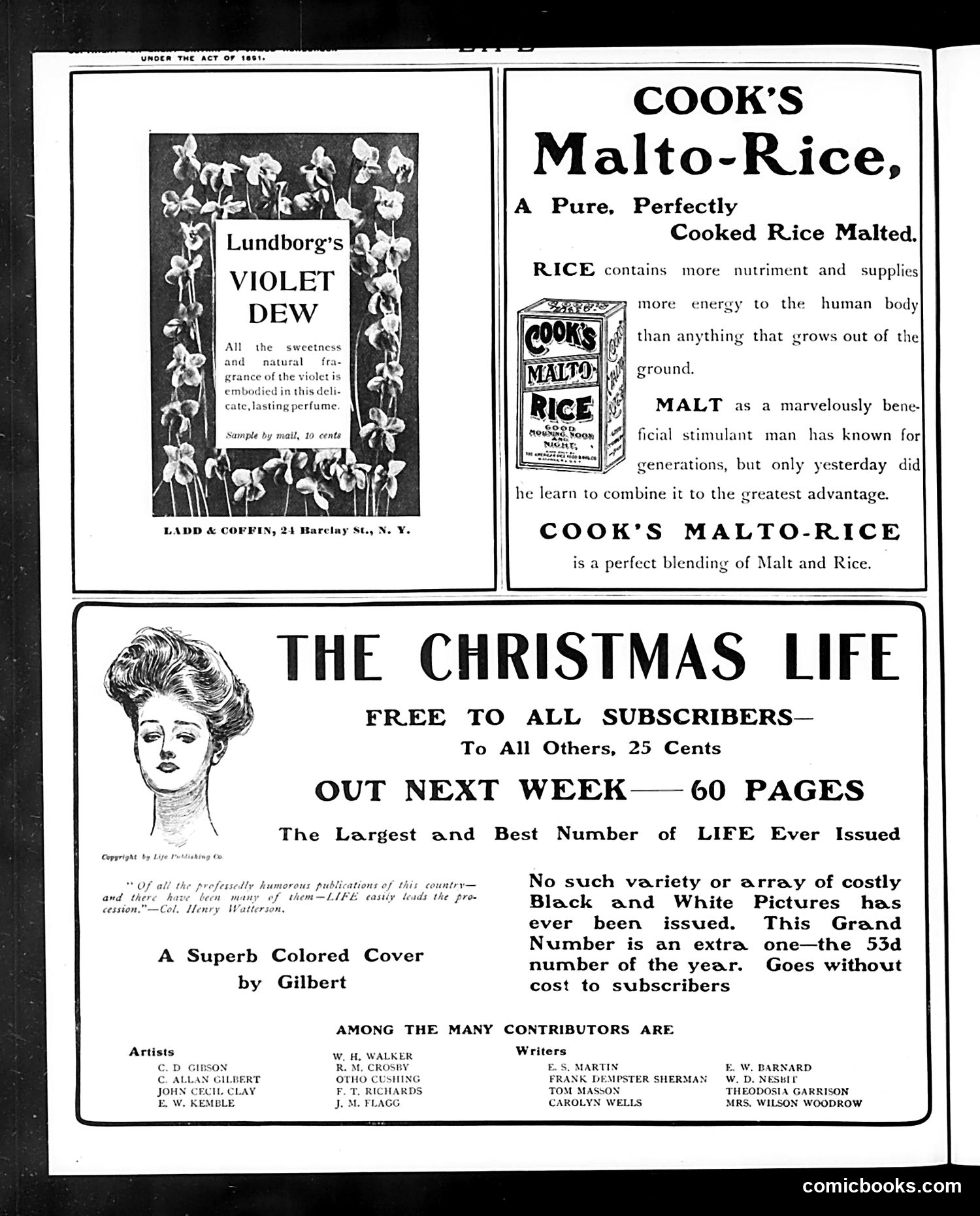 Life — November 26, 1903 — page 2: Life, 1903-11-26