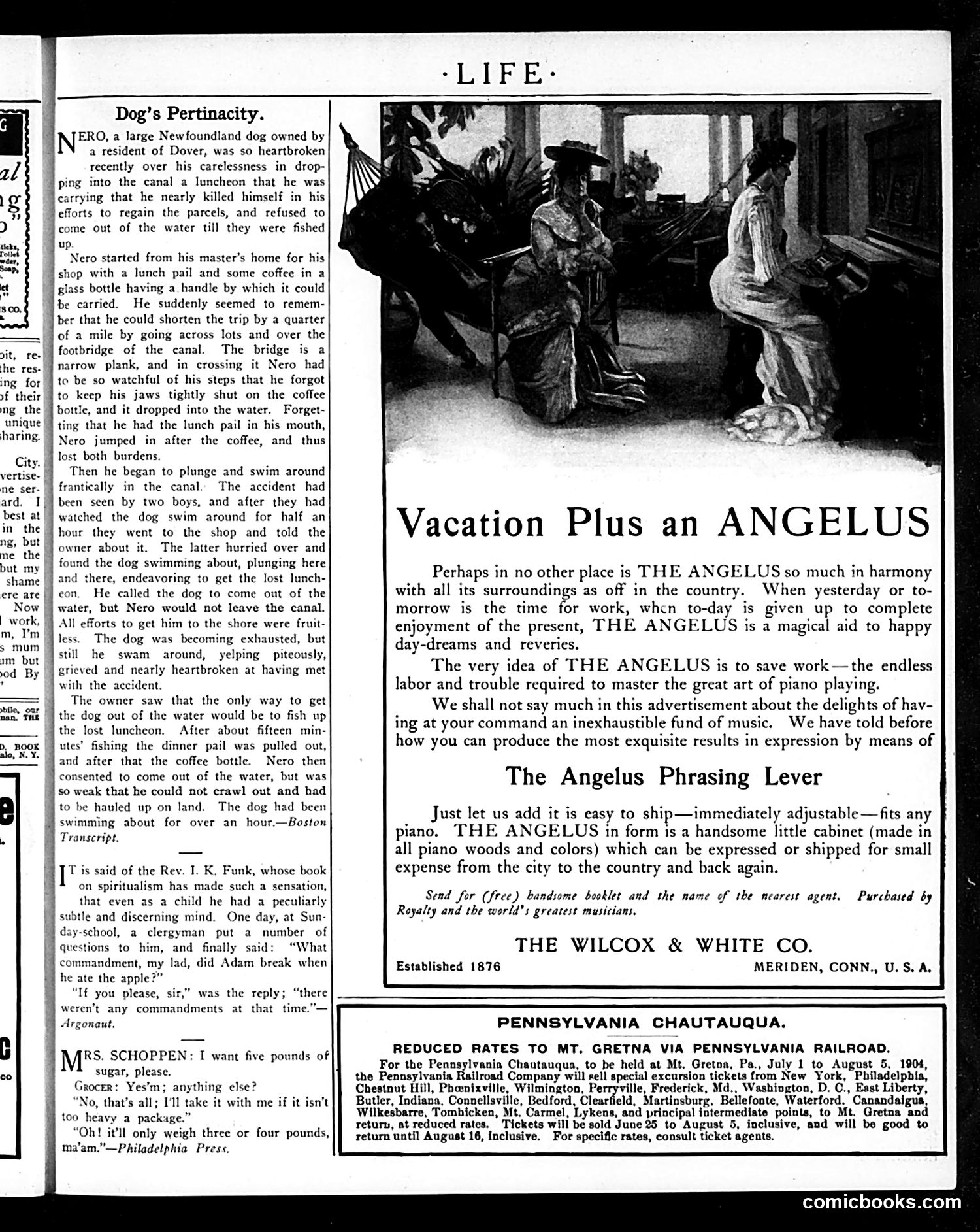 Life — July 7, 1904 — page 7: Life, 1904-07-07
