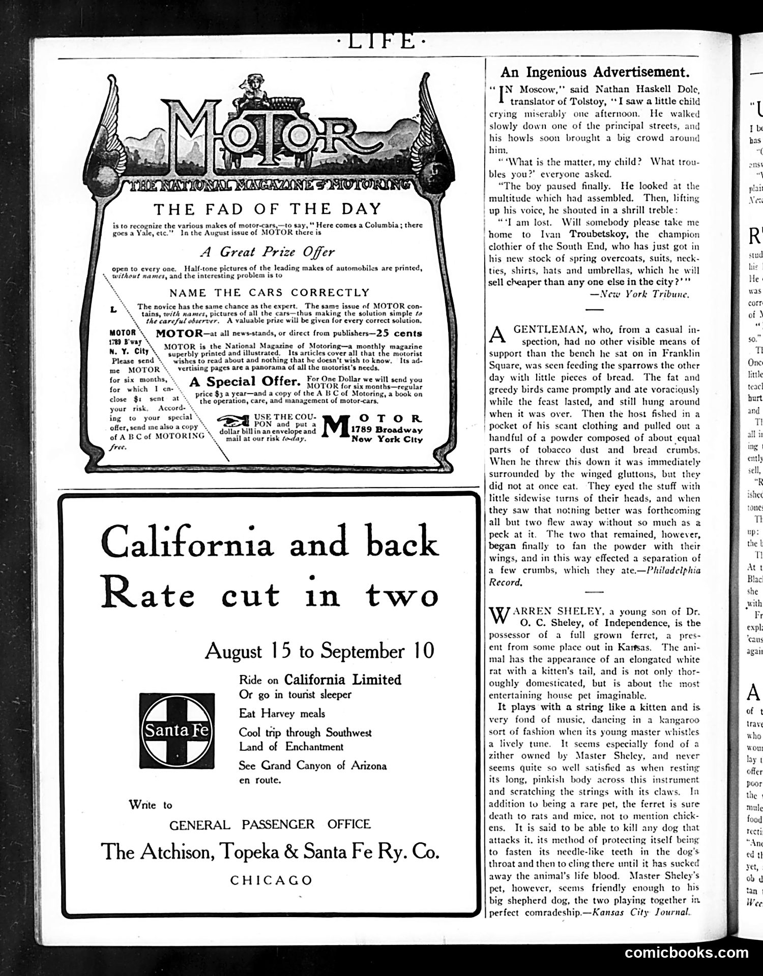 Life — August 4, 1904 — page 4: Life, 1904-08-04