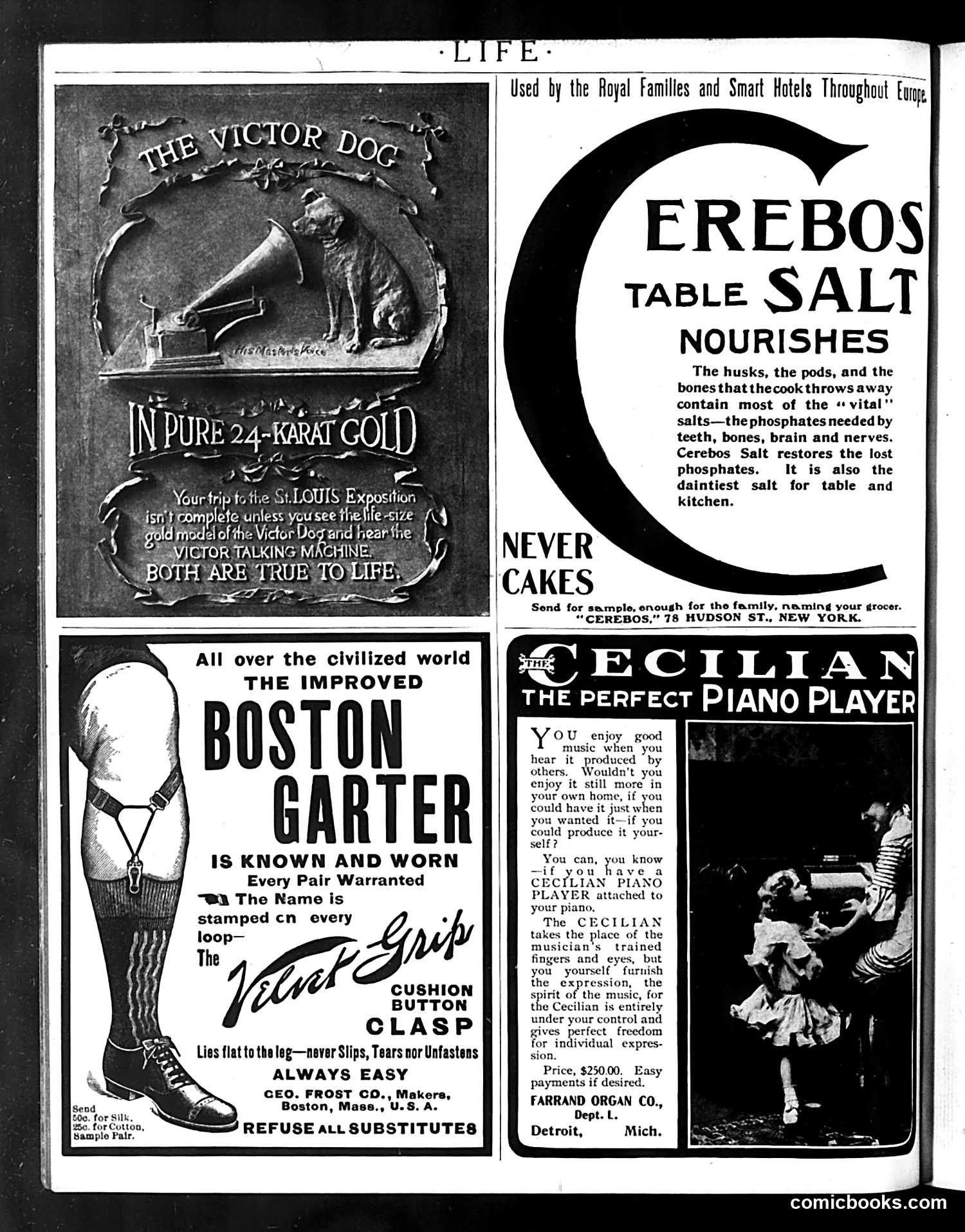 Life — August 4, 1904 — page 6: Life, 1904-08-04