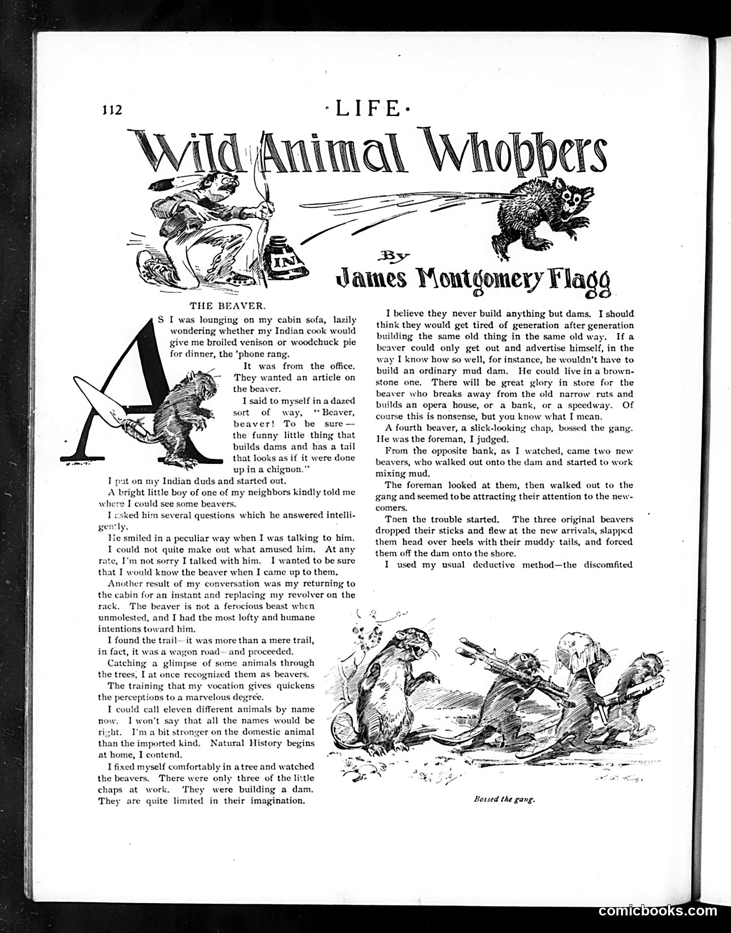 Life — August 4, 1904 — page 12: Life, 1904-08-04