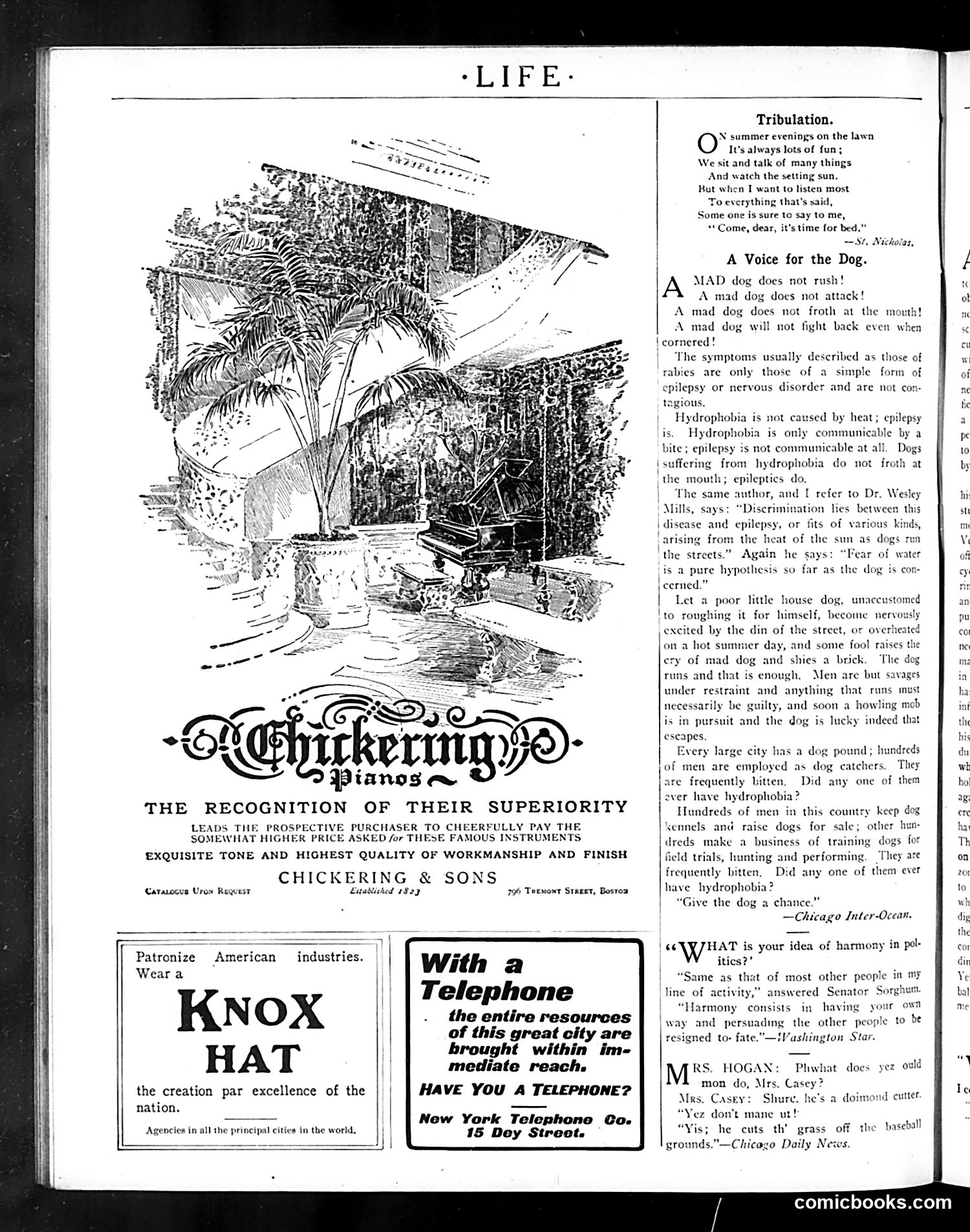 Life — October 6, 1904 — page 6: Life, 1904-10-06
