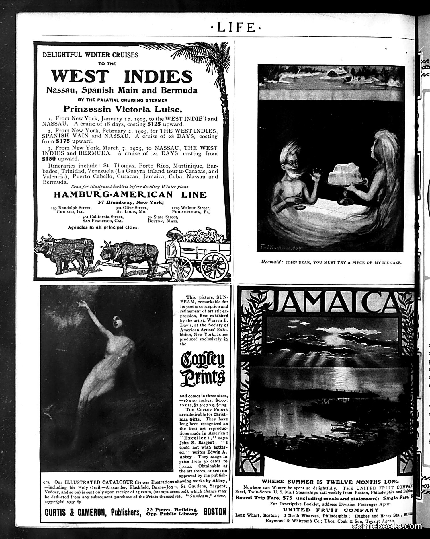Life — December 1, 1904 — page 6: Life, 1904-12-01