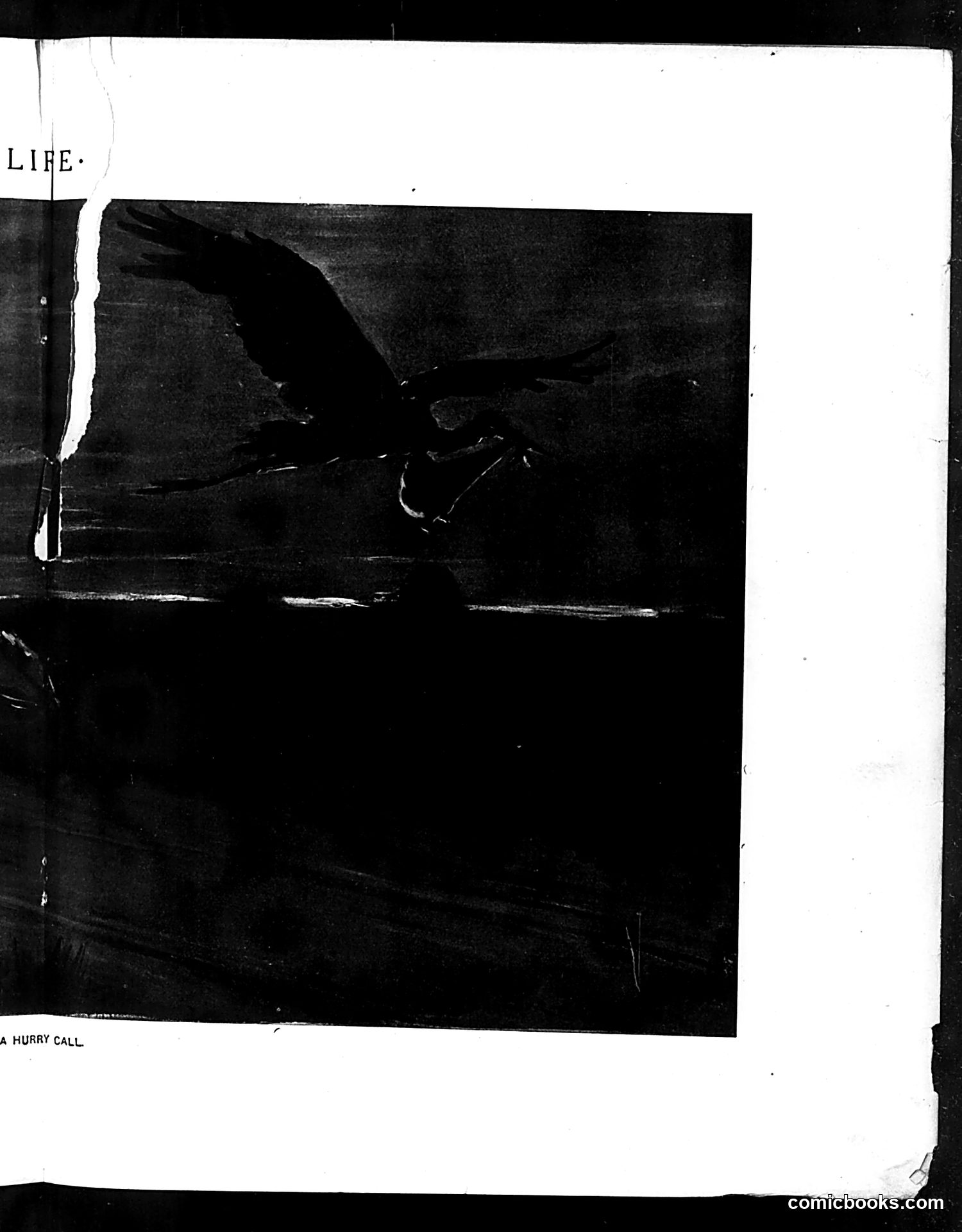 Life — December 3, 1904 — page 11: Life, 1904-12-03