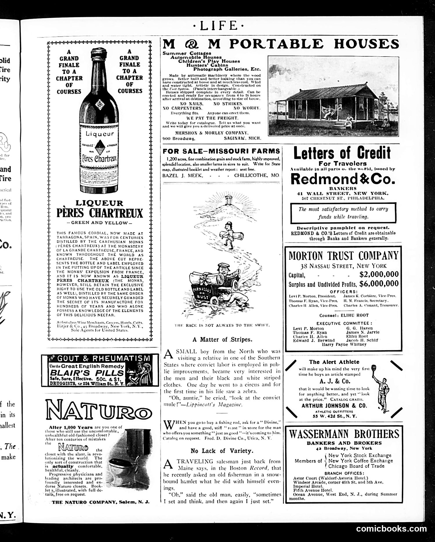 Life — June 8, 1905 — page 3: Life, 1905-06-08