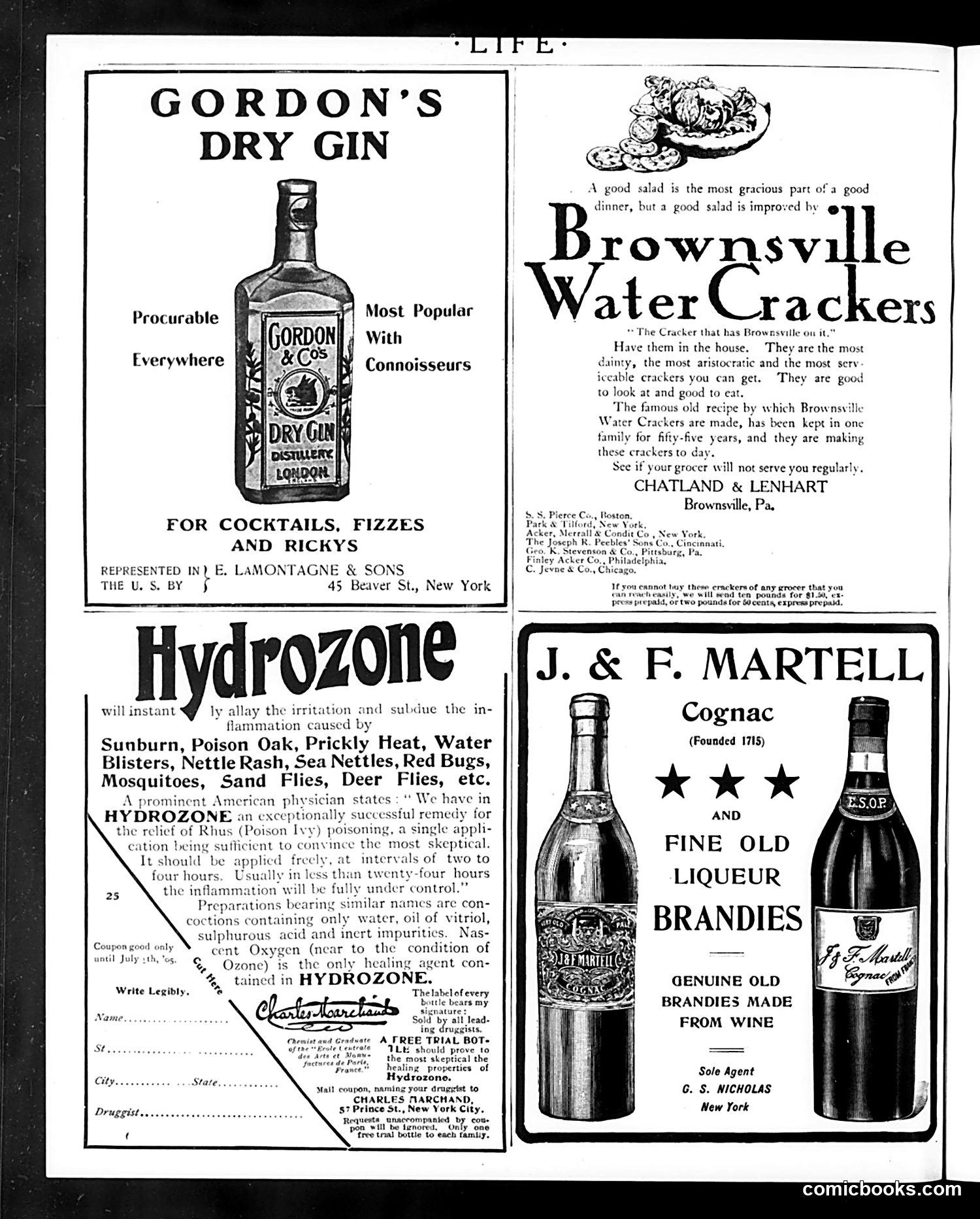Life — June 8, 1905 — page 4: Life, 1905-06-08