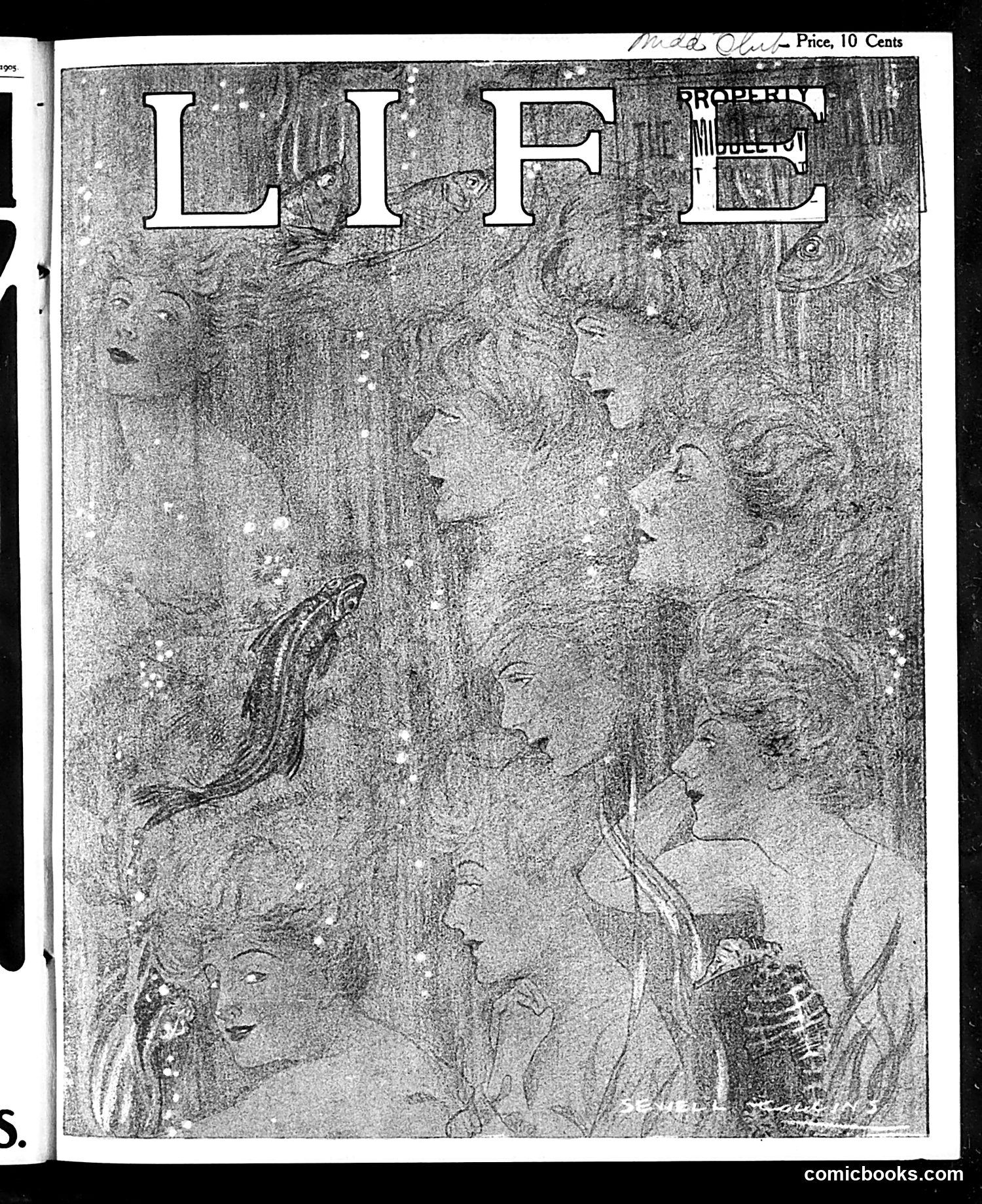 Life — July 20, 1905 — page 1: Life, 1905-07-20