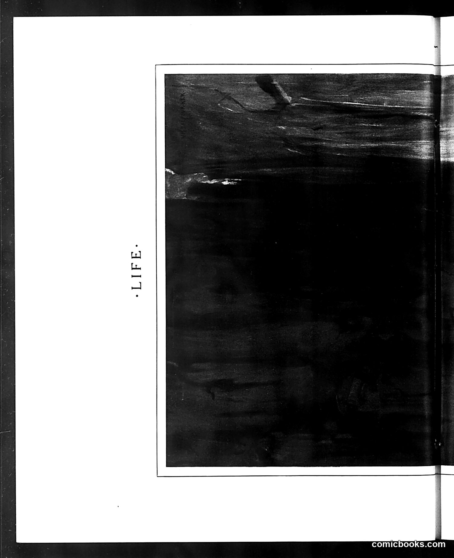 Life — August 17, 1905 — page 12: Life, 1905-08-17
