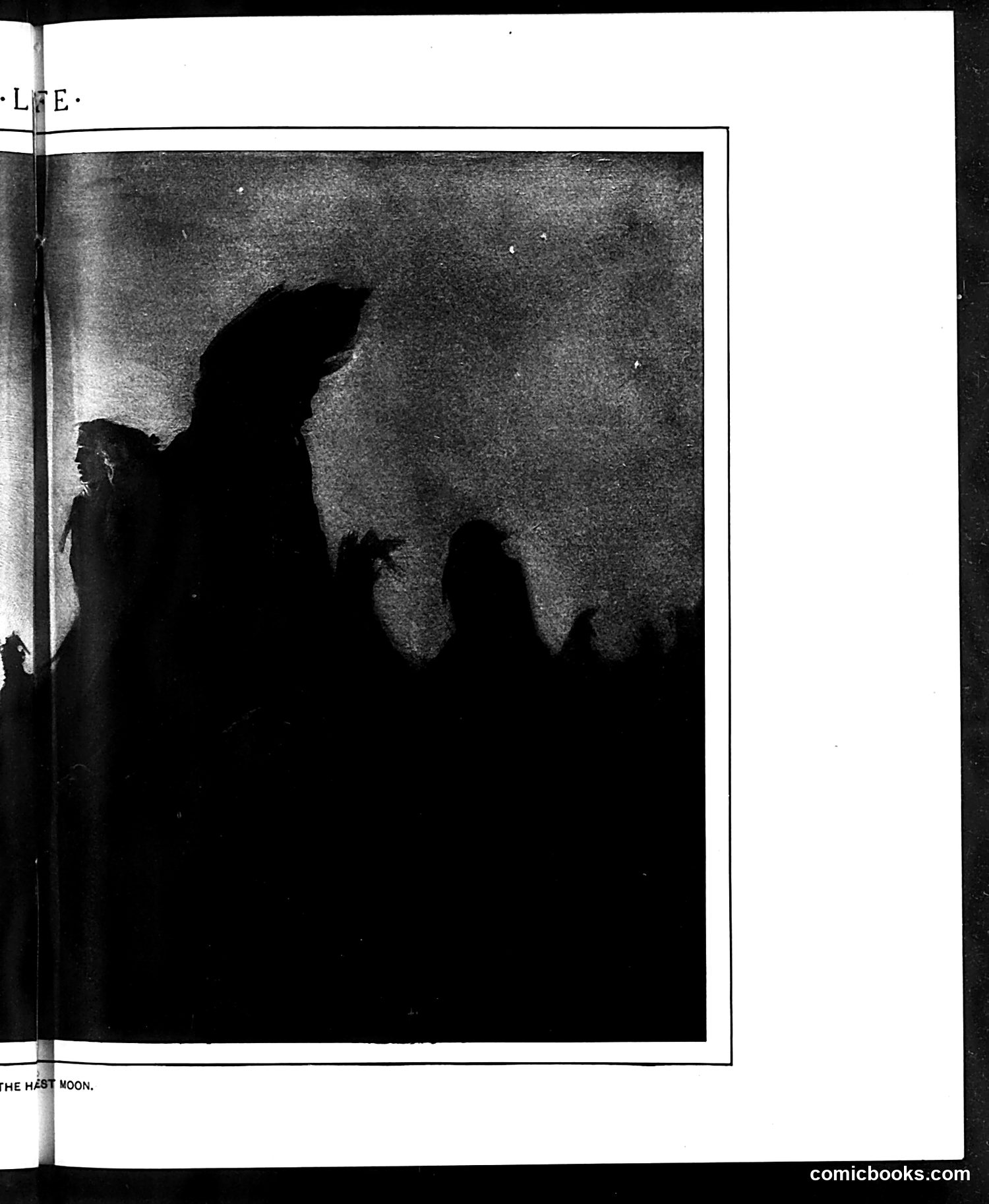 Life — September 21, 1905 — page 13: Life, 1905-09-21