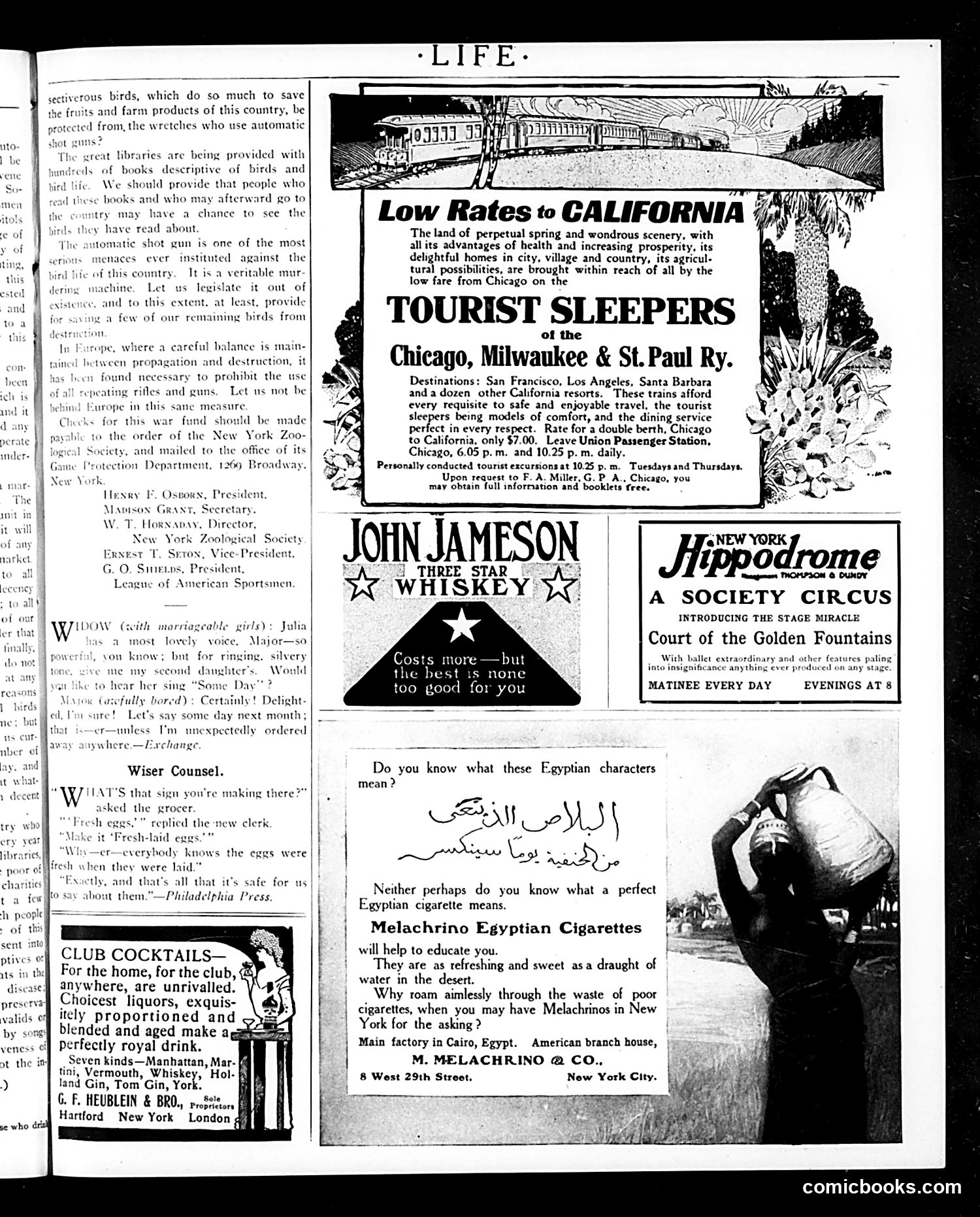 Life — January 25, 1906 — page 3: Life, 1906-01-25