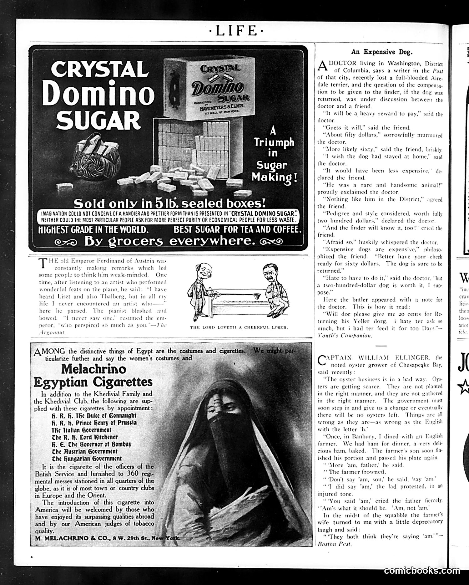 Life — April 5, 1906 — page 10: Life, 1906-04-05