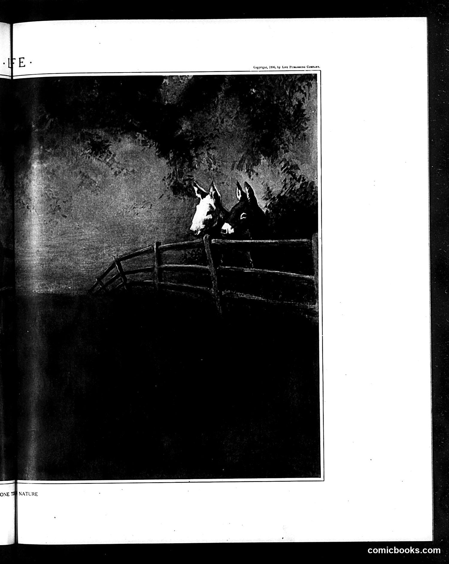Life — June 14, 1906 — page 13: Life, 1906-06-14