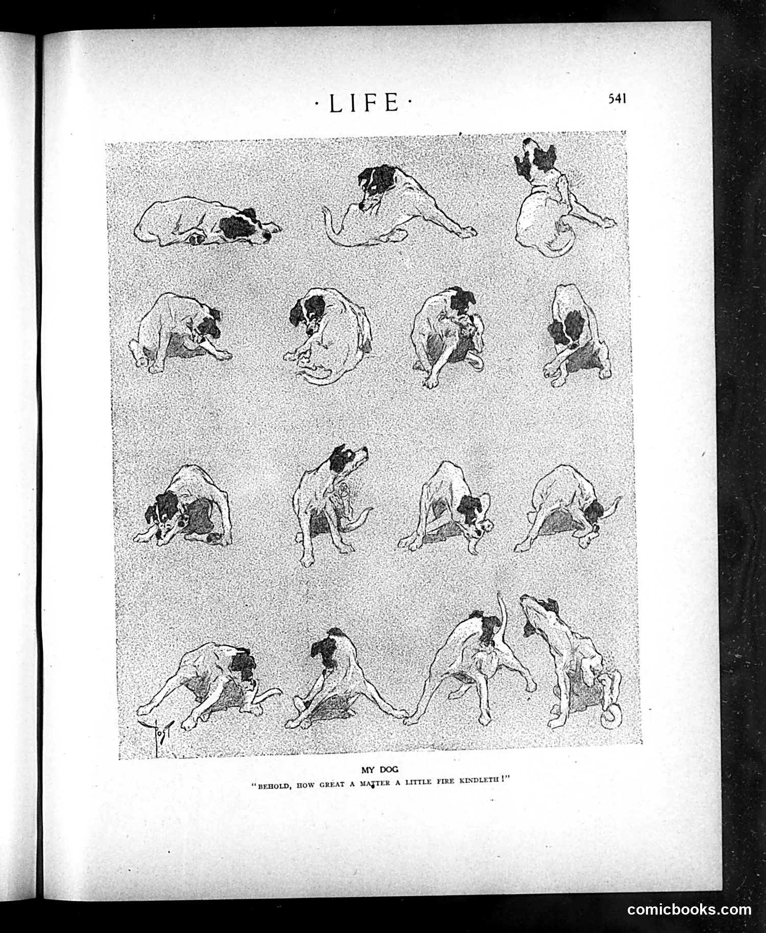 Life — May 21, 1908 — page 9: Life, 1908-05-21