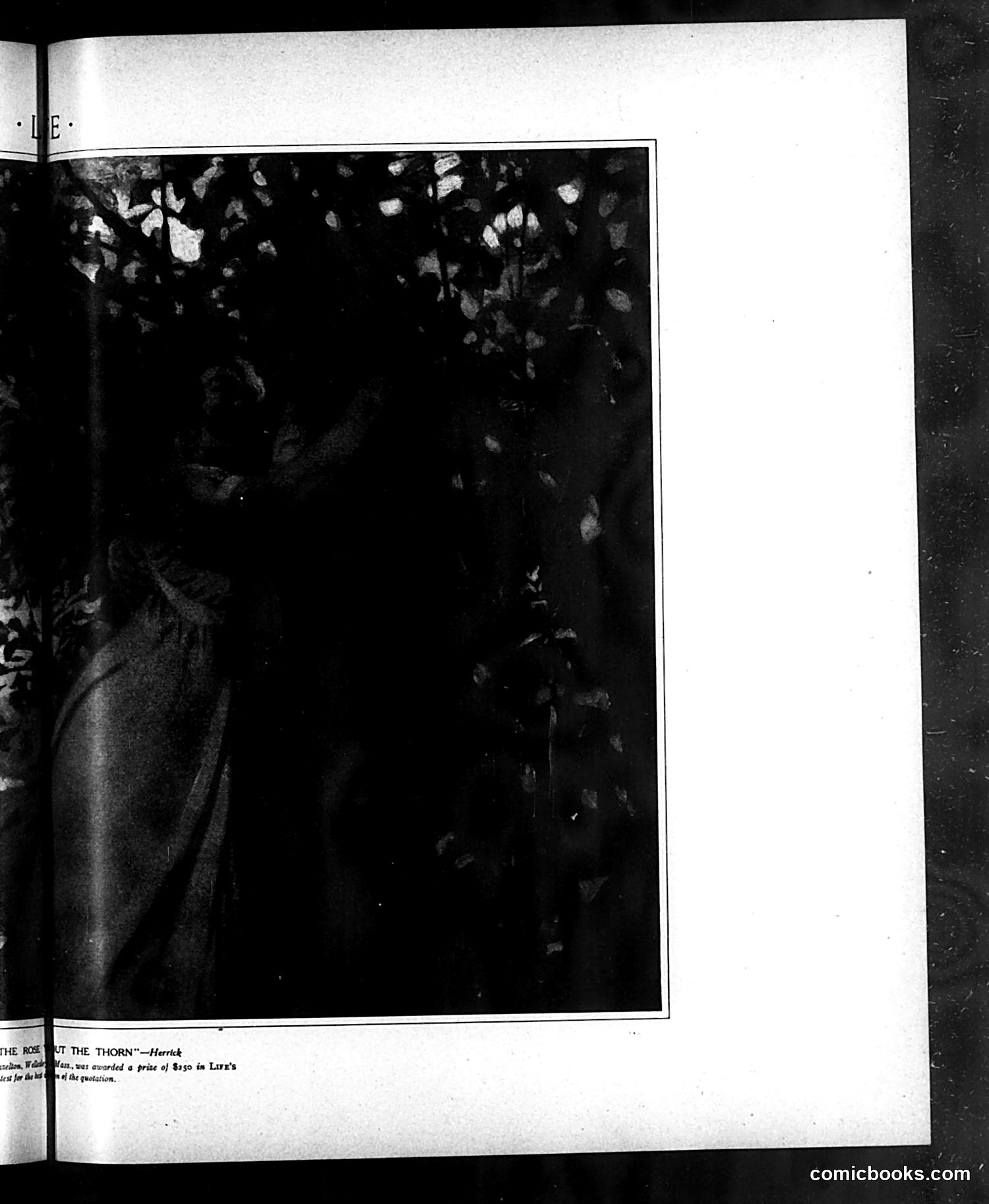 Life — May 28, 1908 — page 13: Life, 1908-05-28