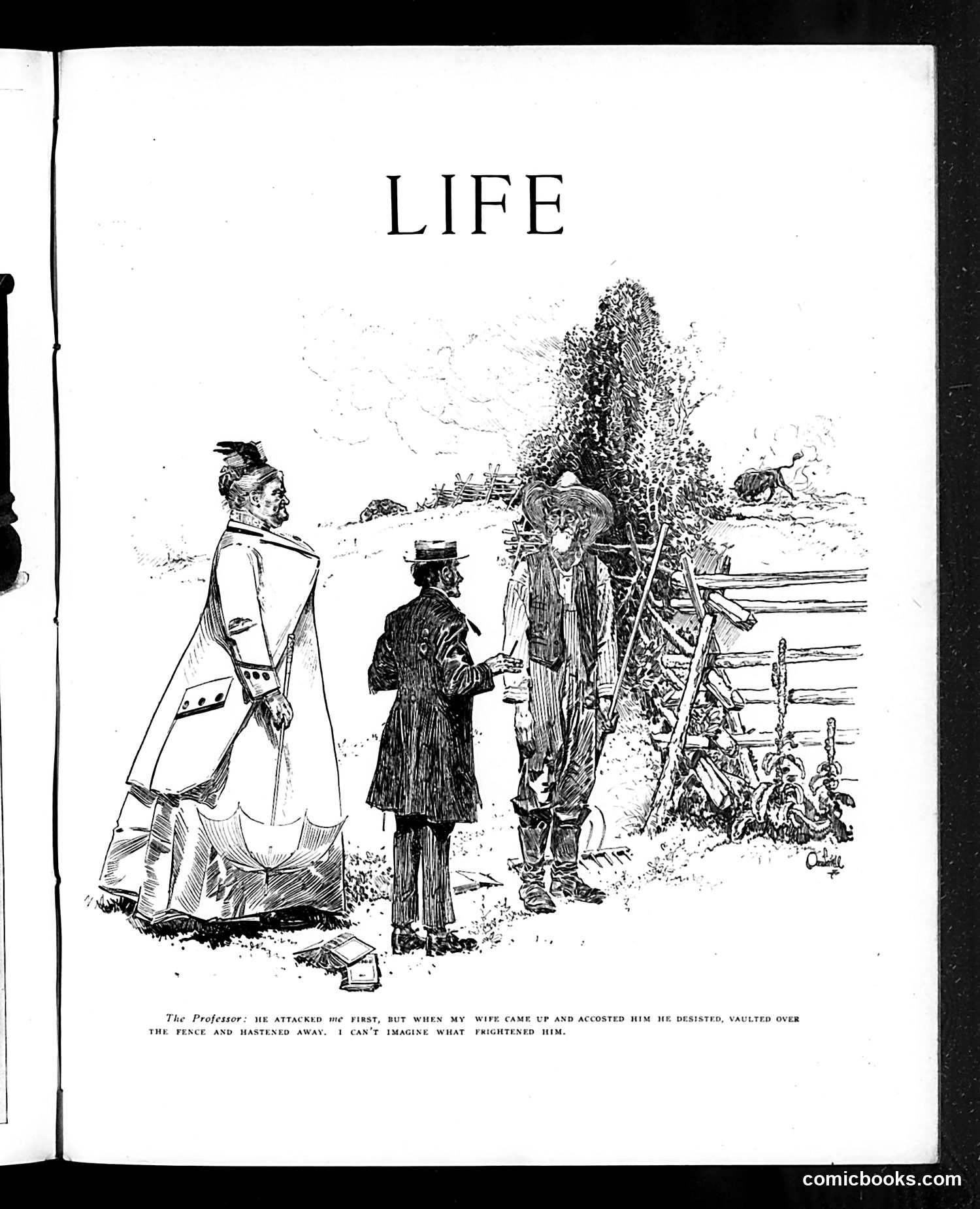 Life — May 27, 1909 — page 5: Life, 1909-05-27