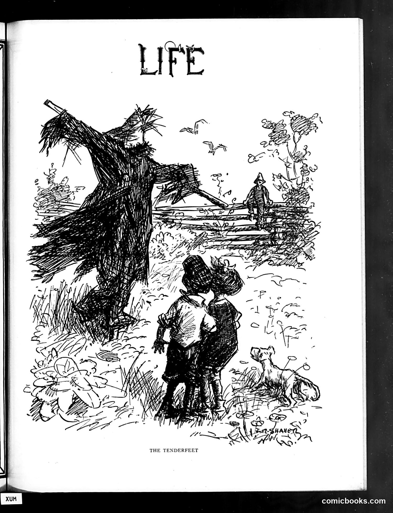 Life — August 26, 1920 — page 7: Life, 1920-08-26
