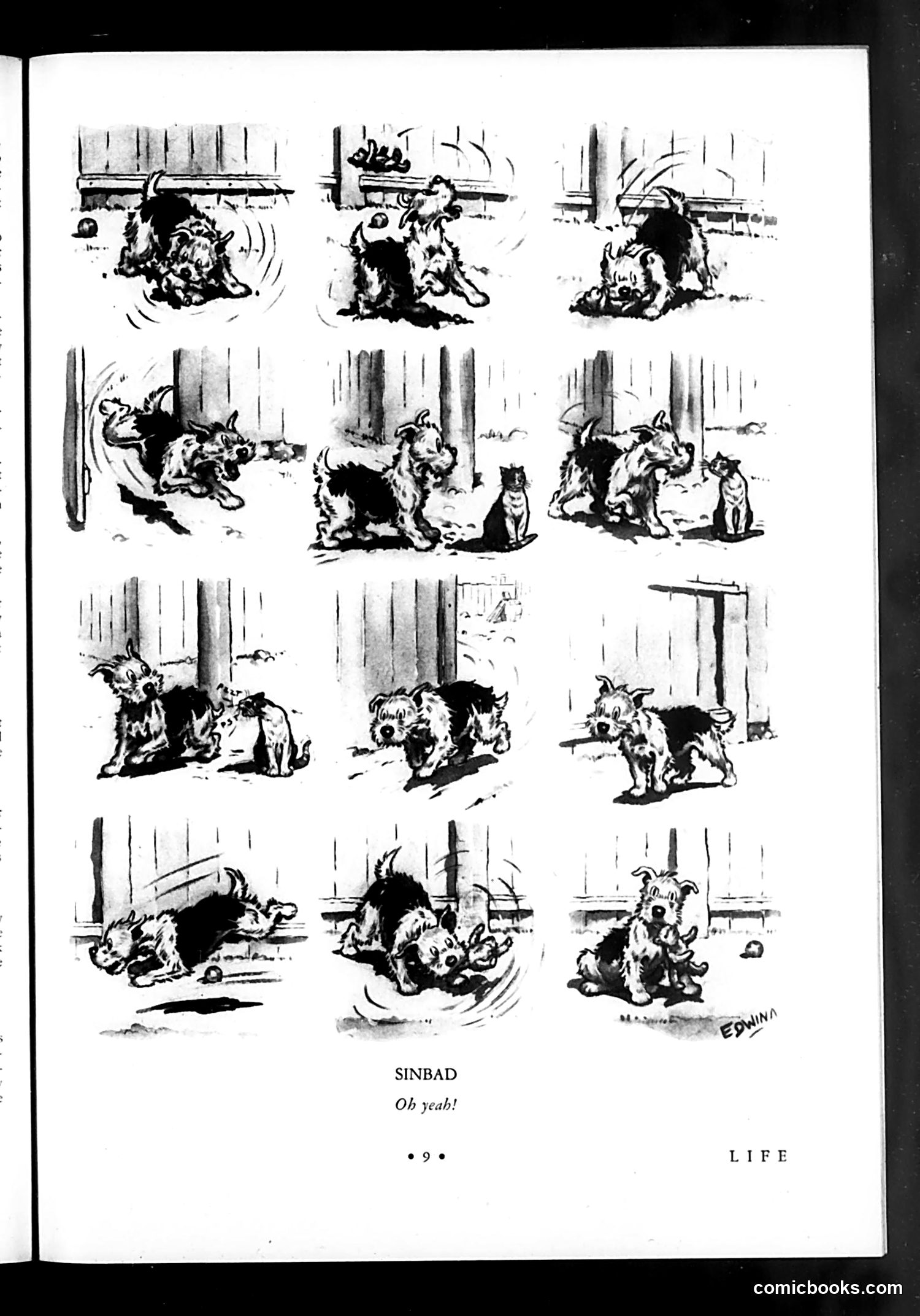 Life — March 6, 1931 — page 11: Life, 1931-03-06