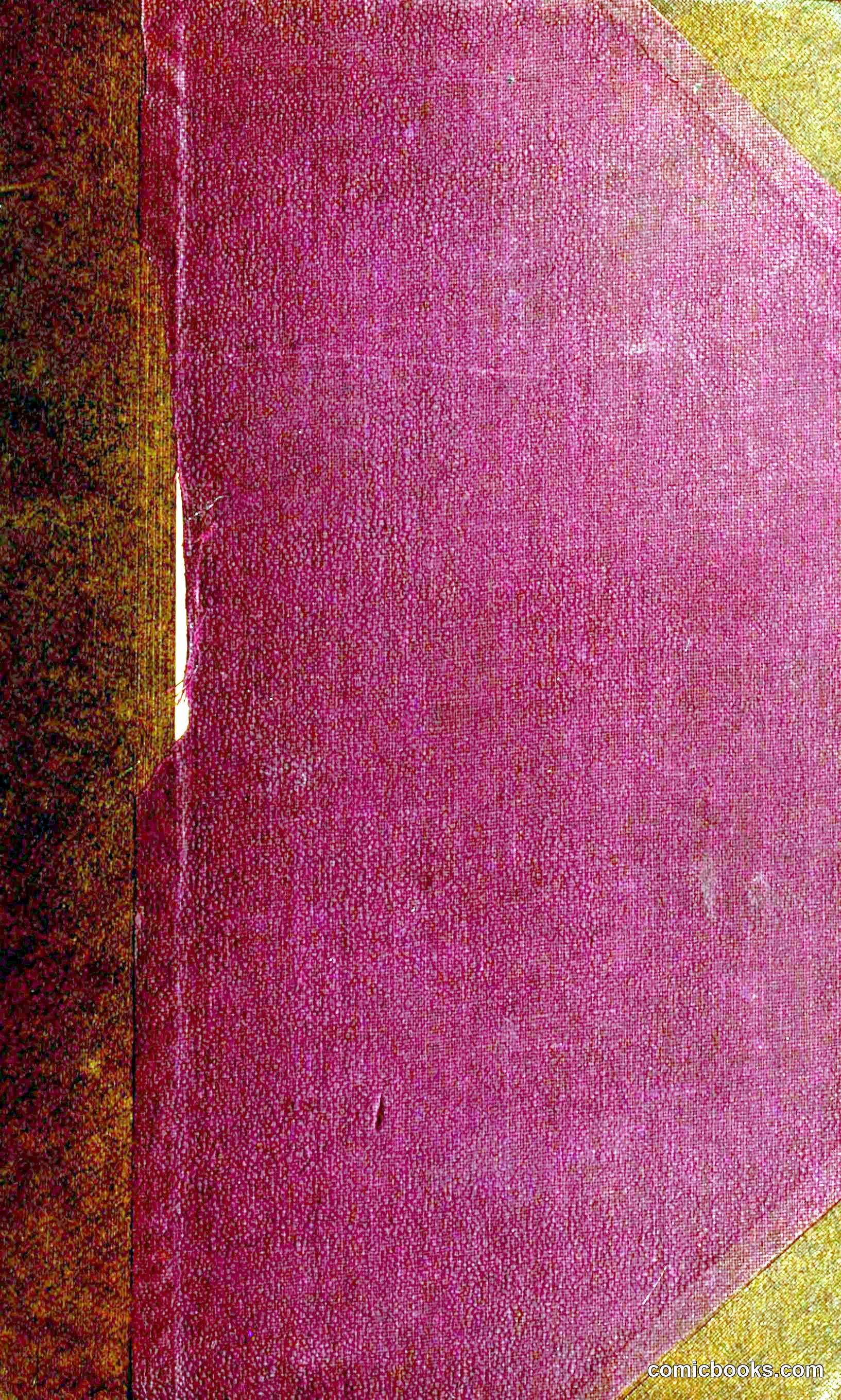 Agnes, or, Beauty and Pleasure