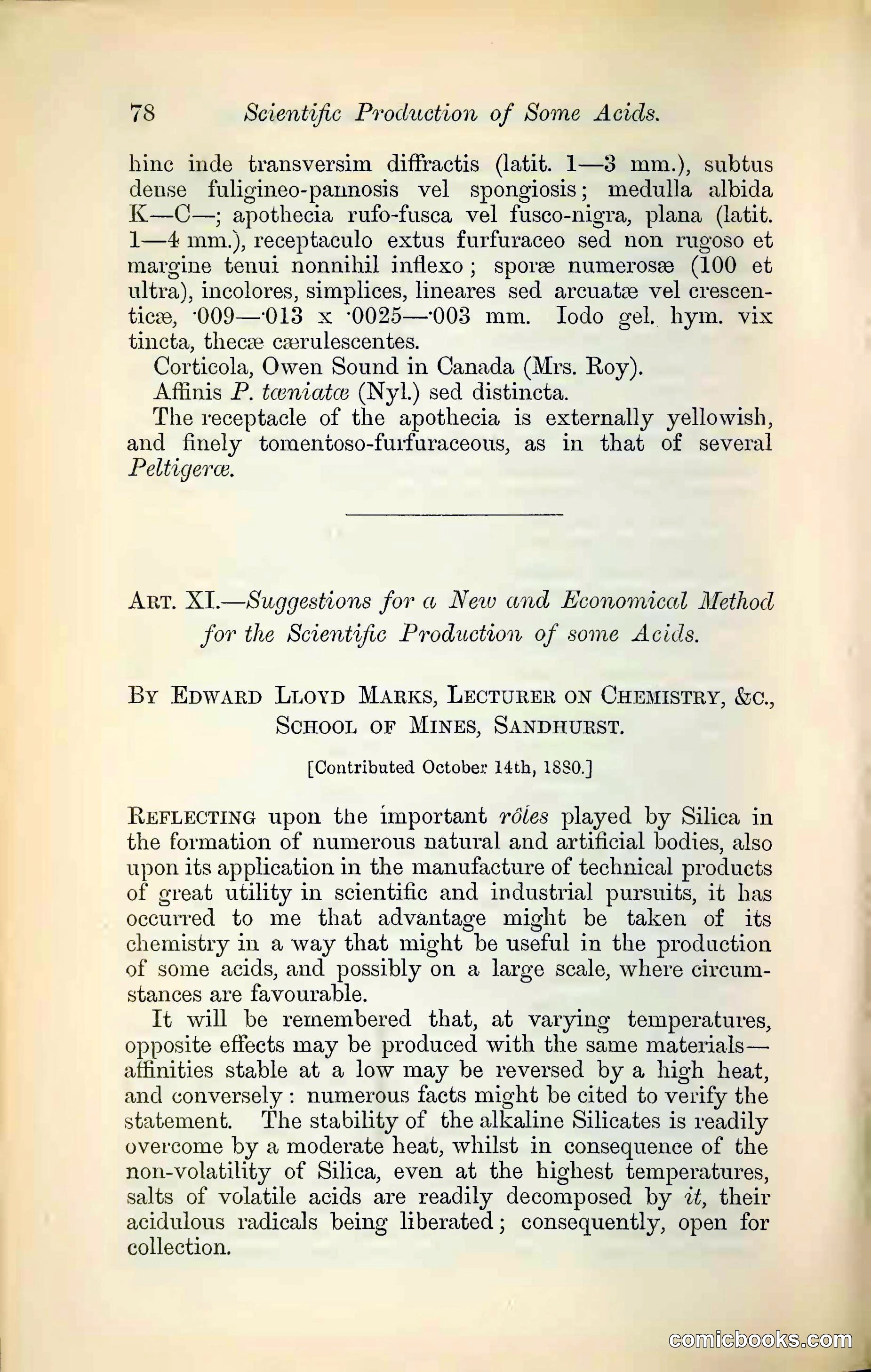 Suggestions for a New and Economical Method for the Scientific Production of Some Acids