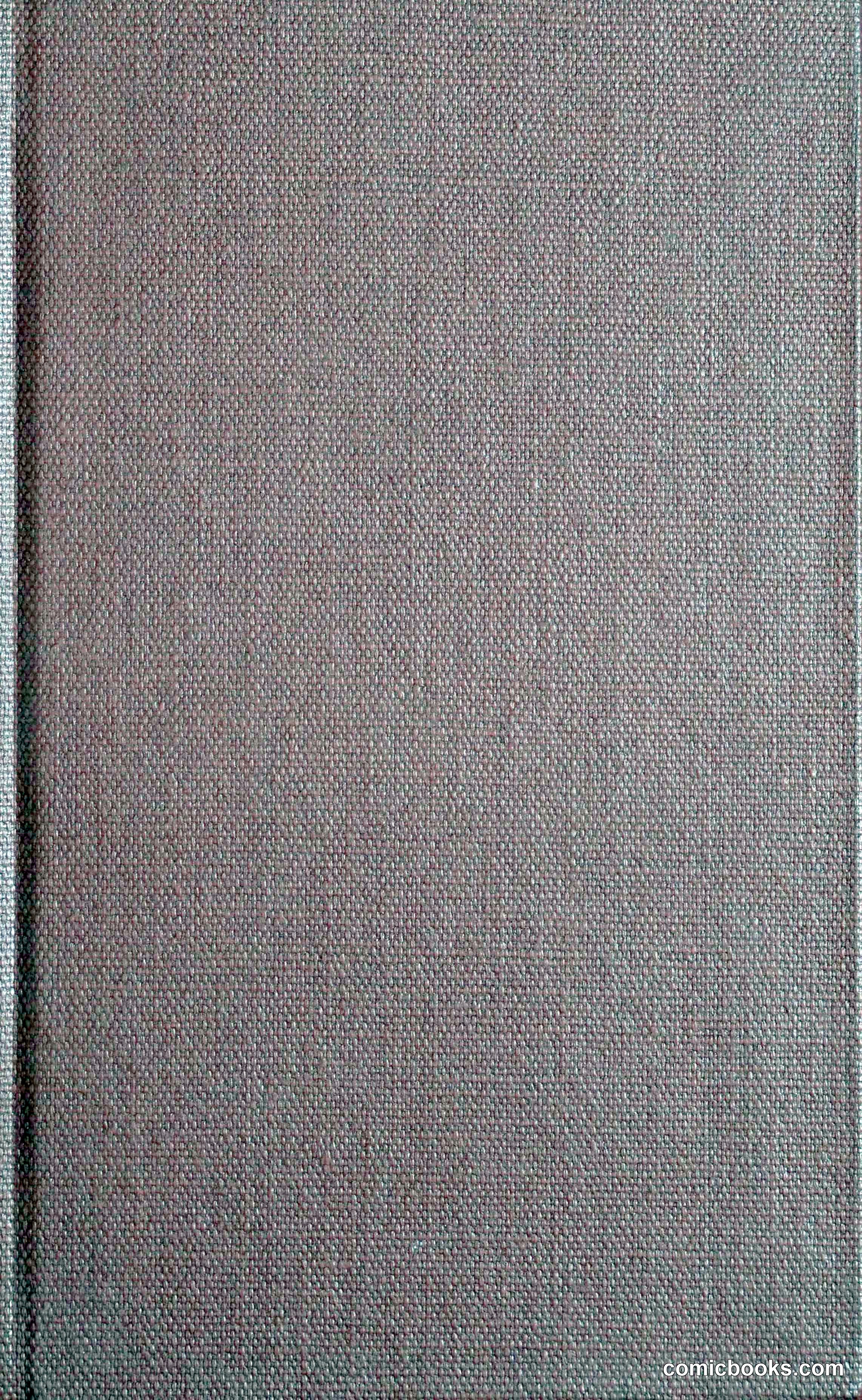 His Other Wife: A Novel