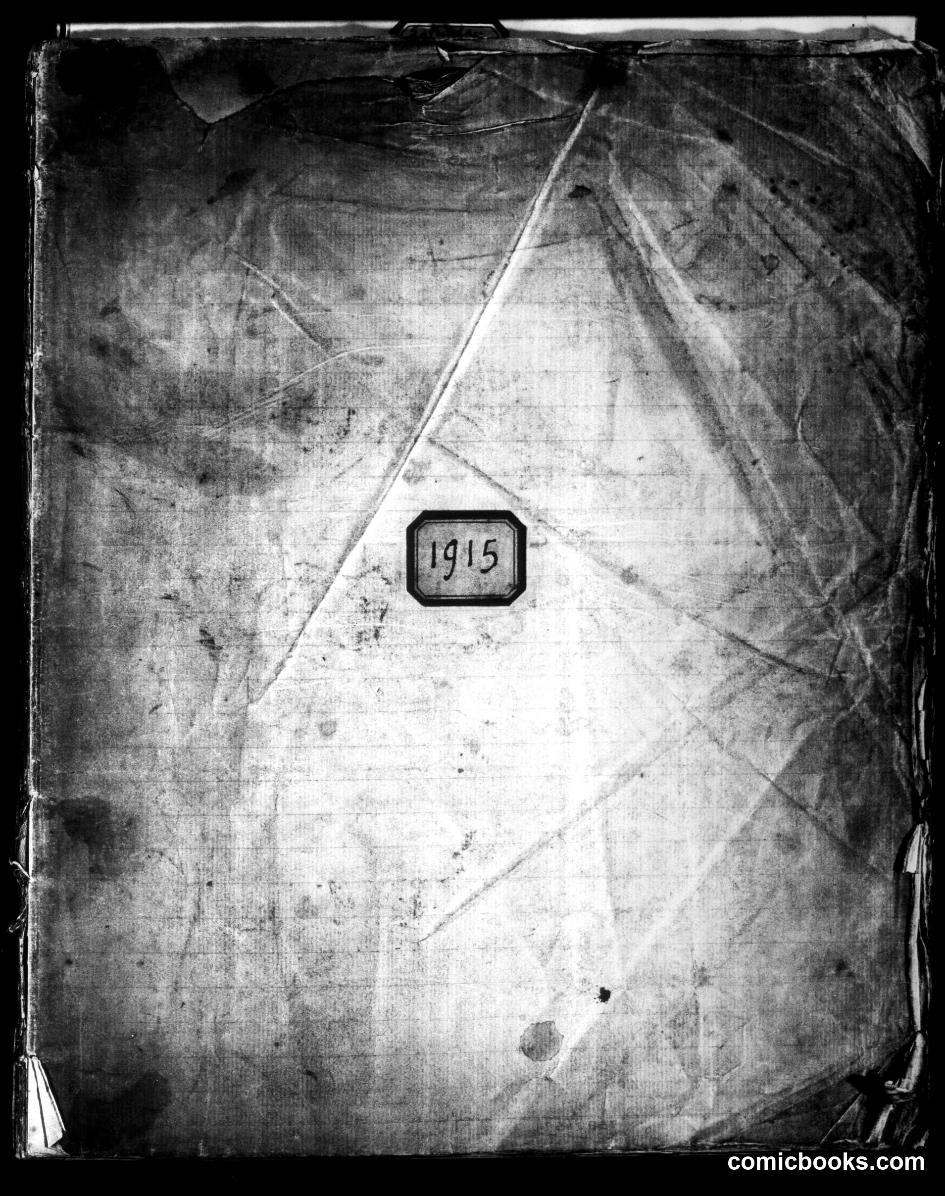 A Writer's Diary, 1915