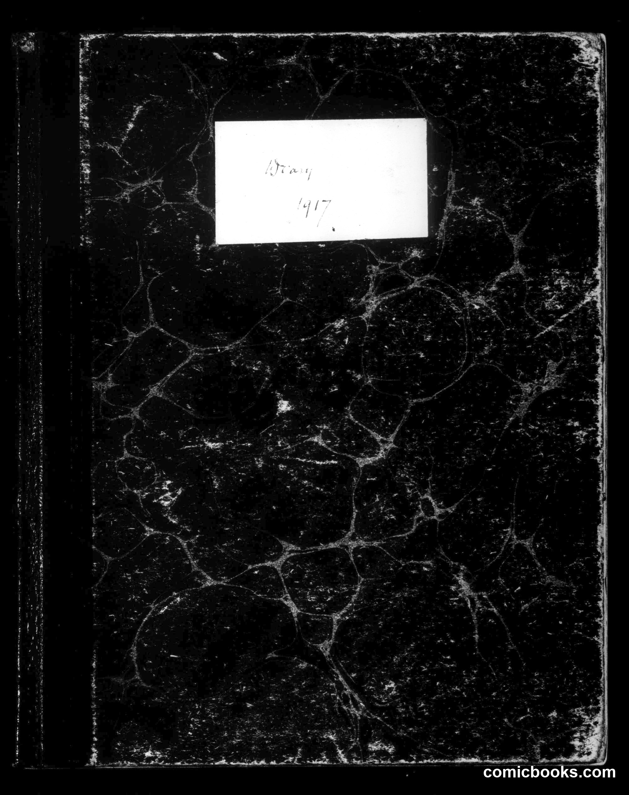 Diary, 1917
