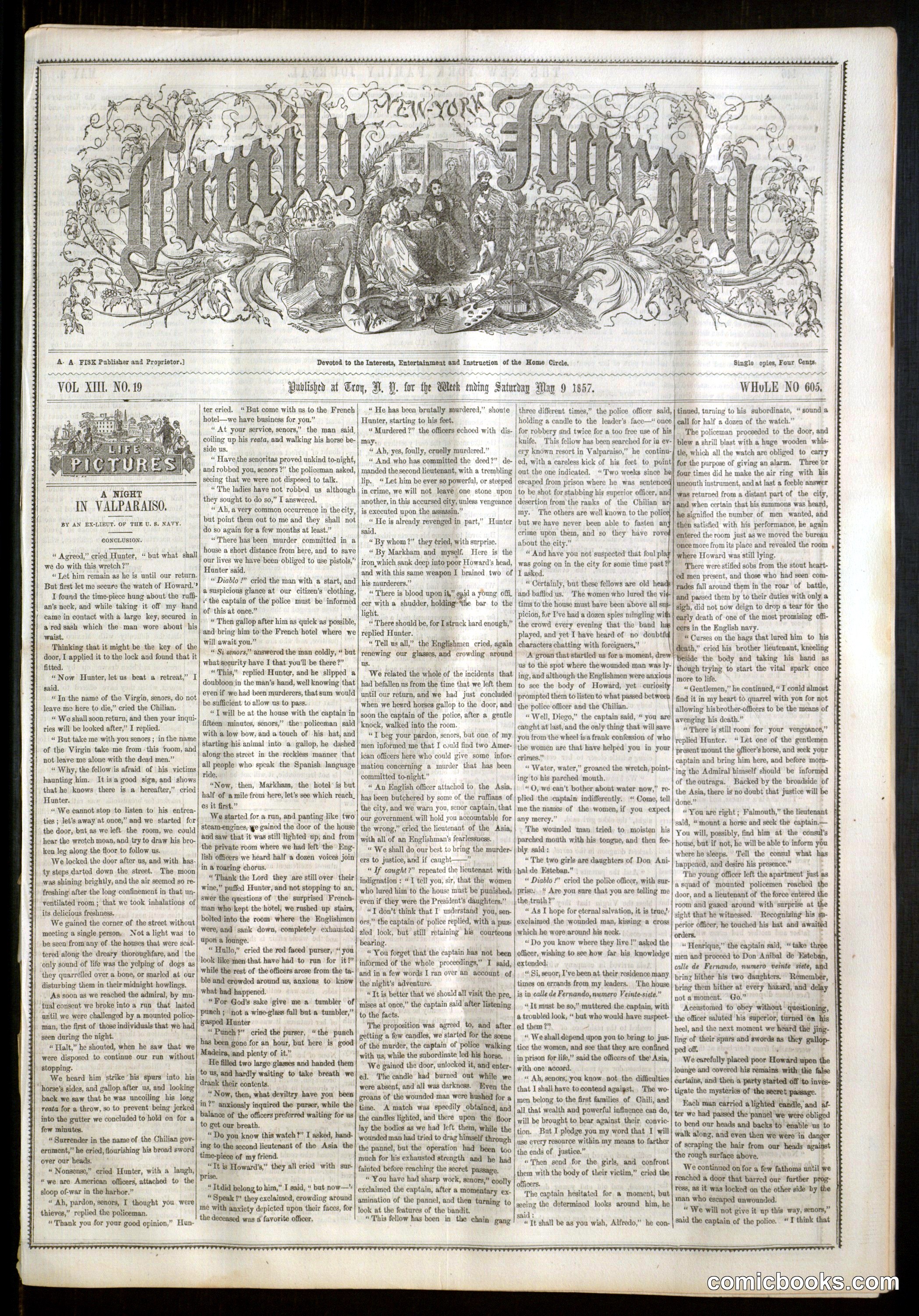 The New York Family Journal, Vol. XIII, No. 19