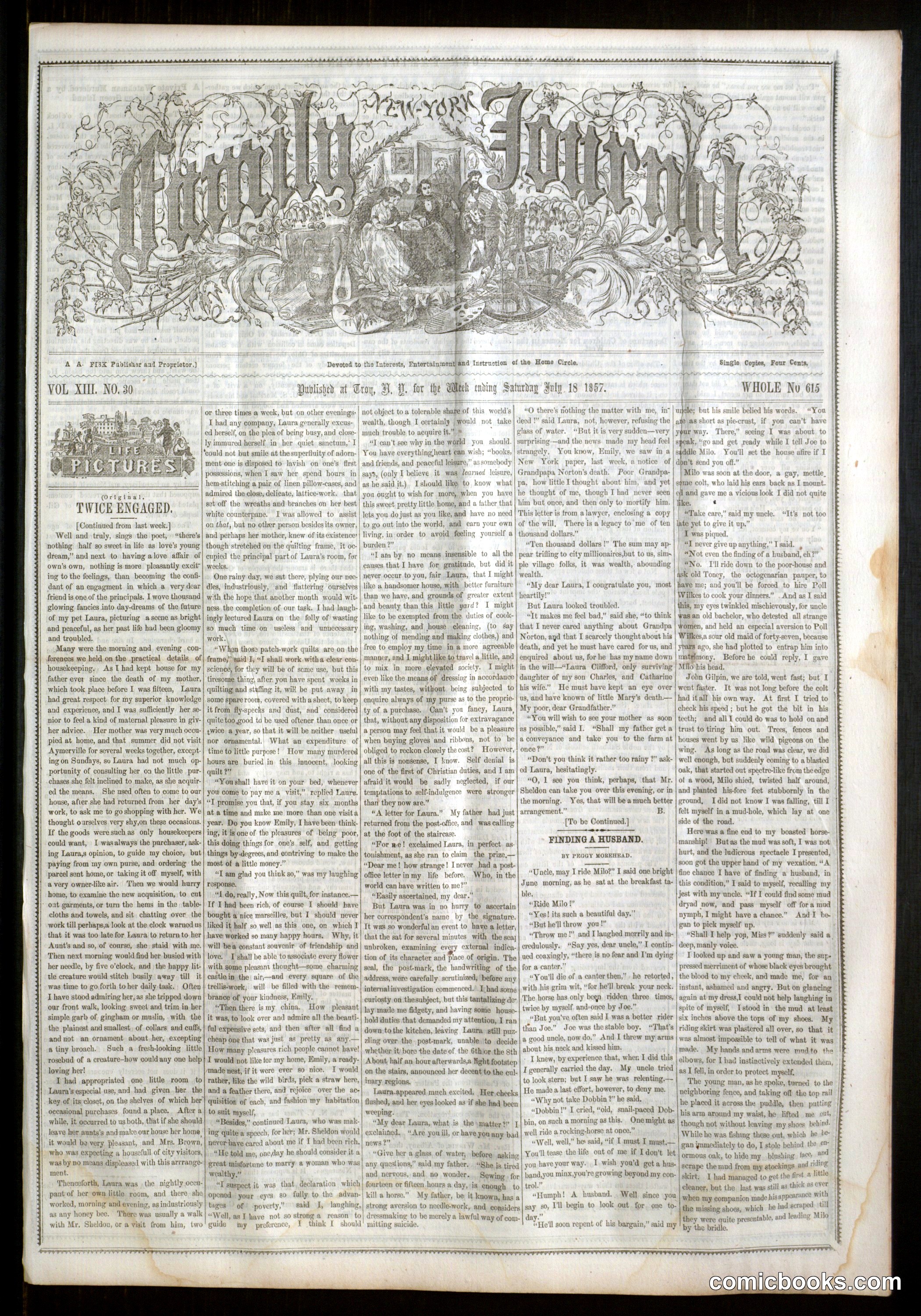 New York Family Journal (Vol. XIII, No. 30)