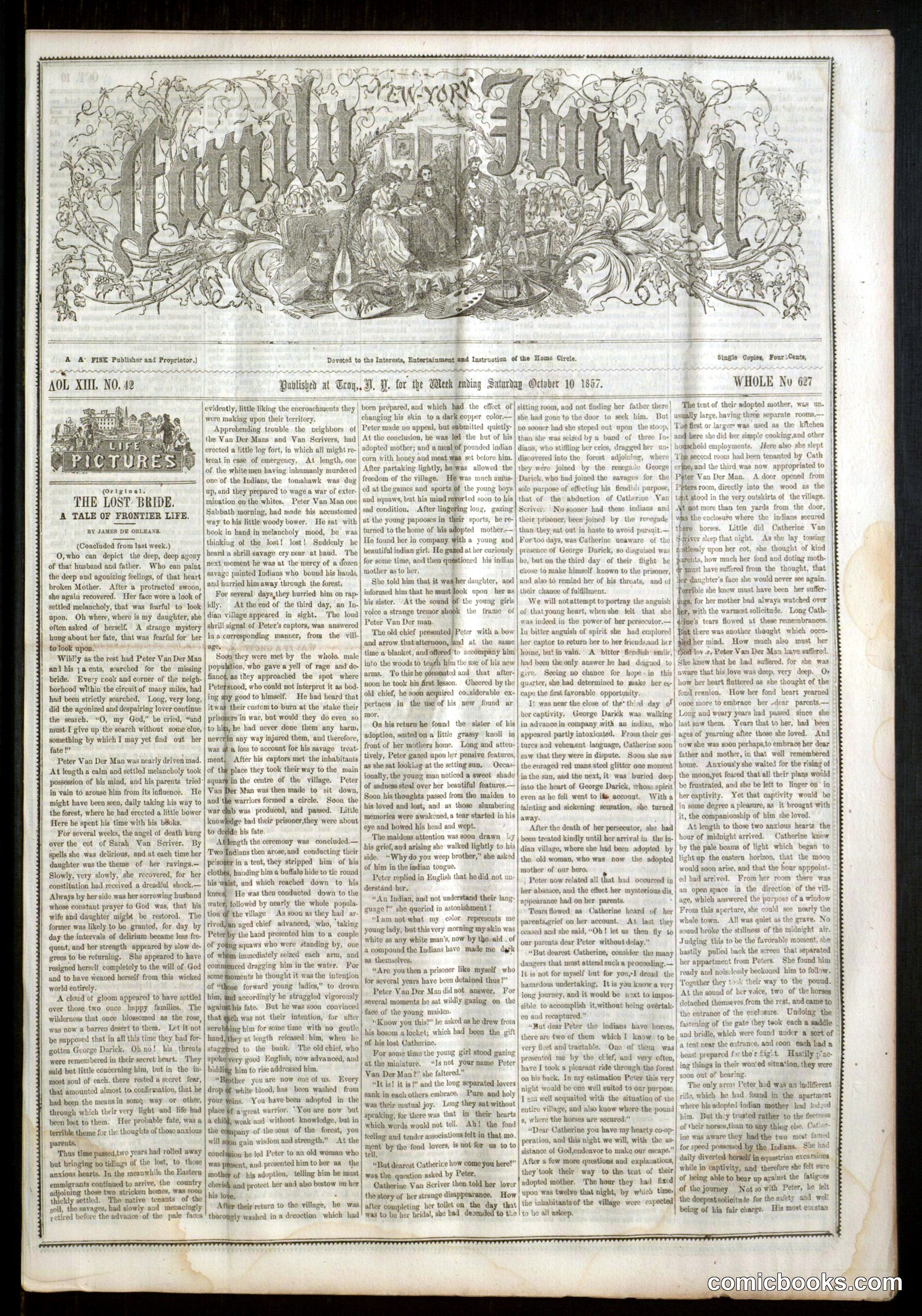 New York Family Journal, Vol. XIII, No. 42