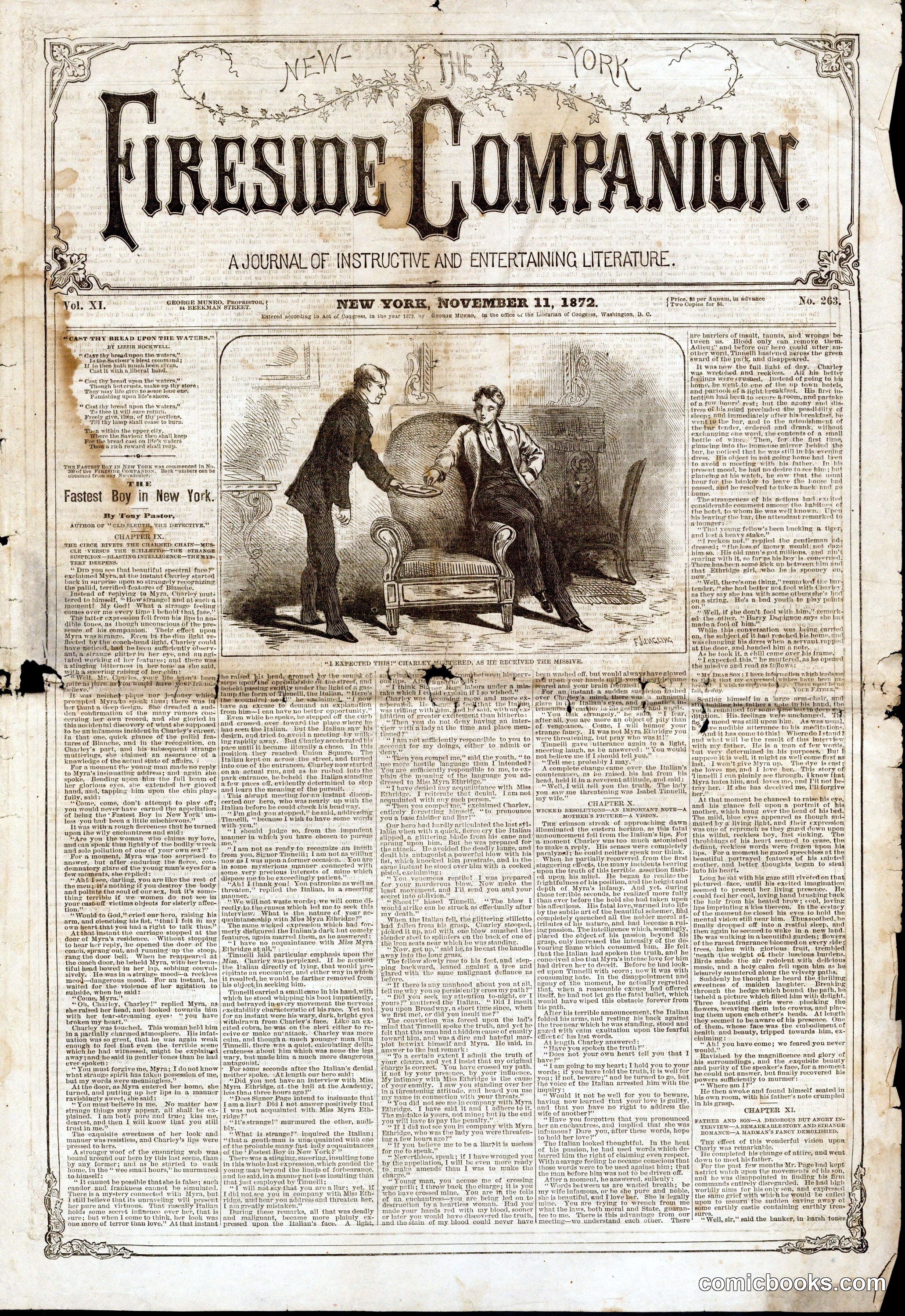 The New York Fireside Companion, Vol. XI, No. 263