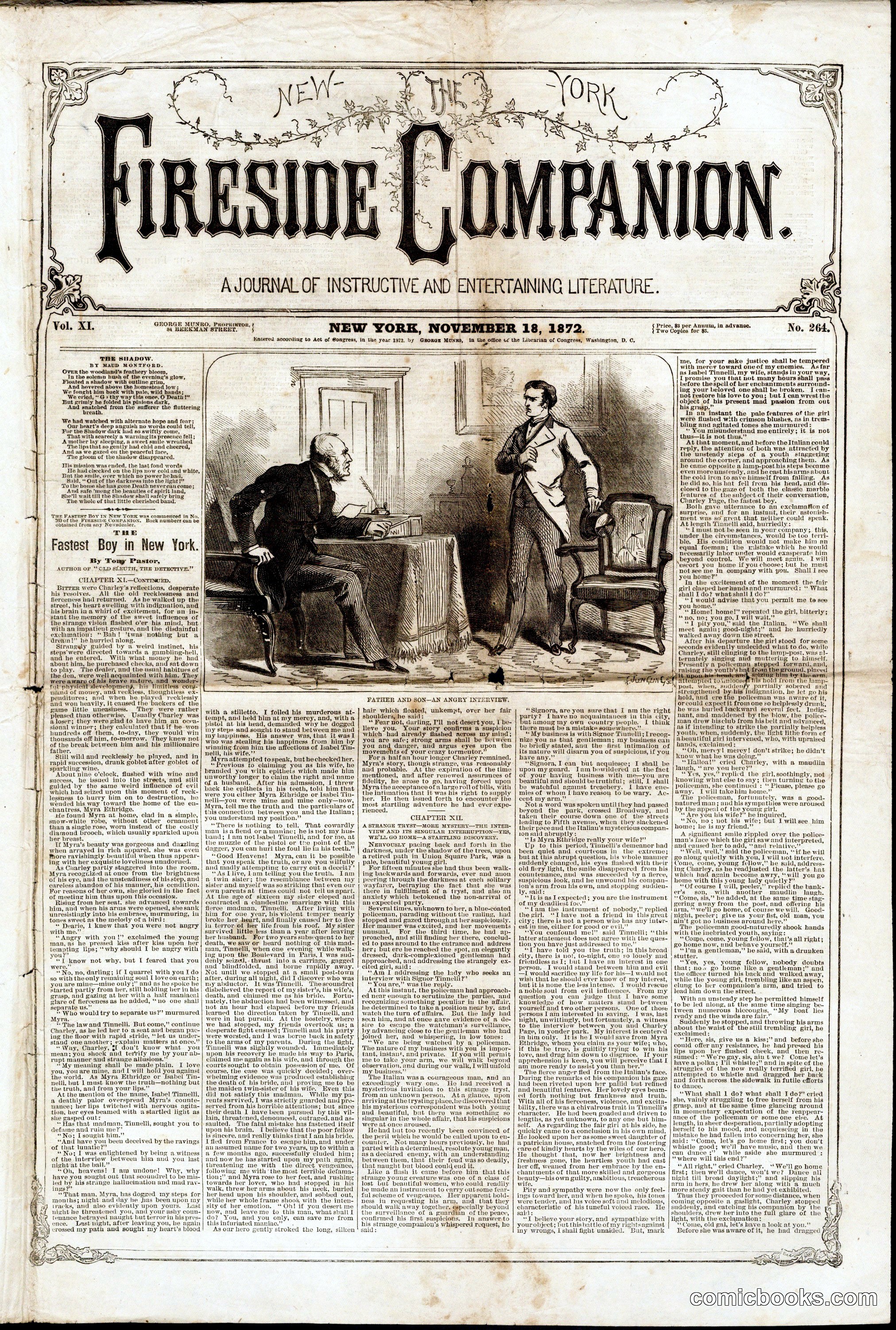 The New York Fireside Companion