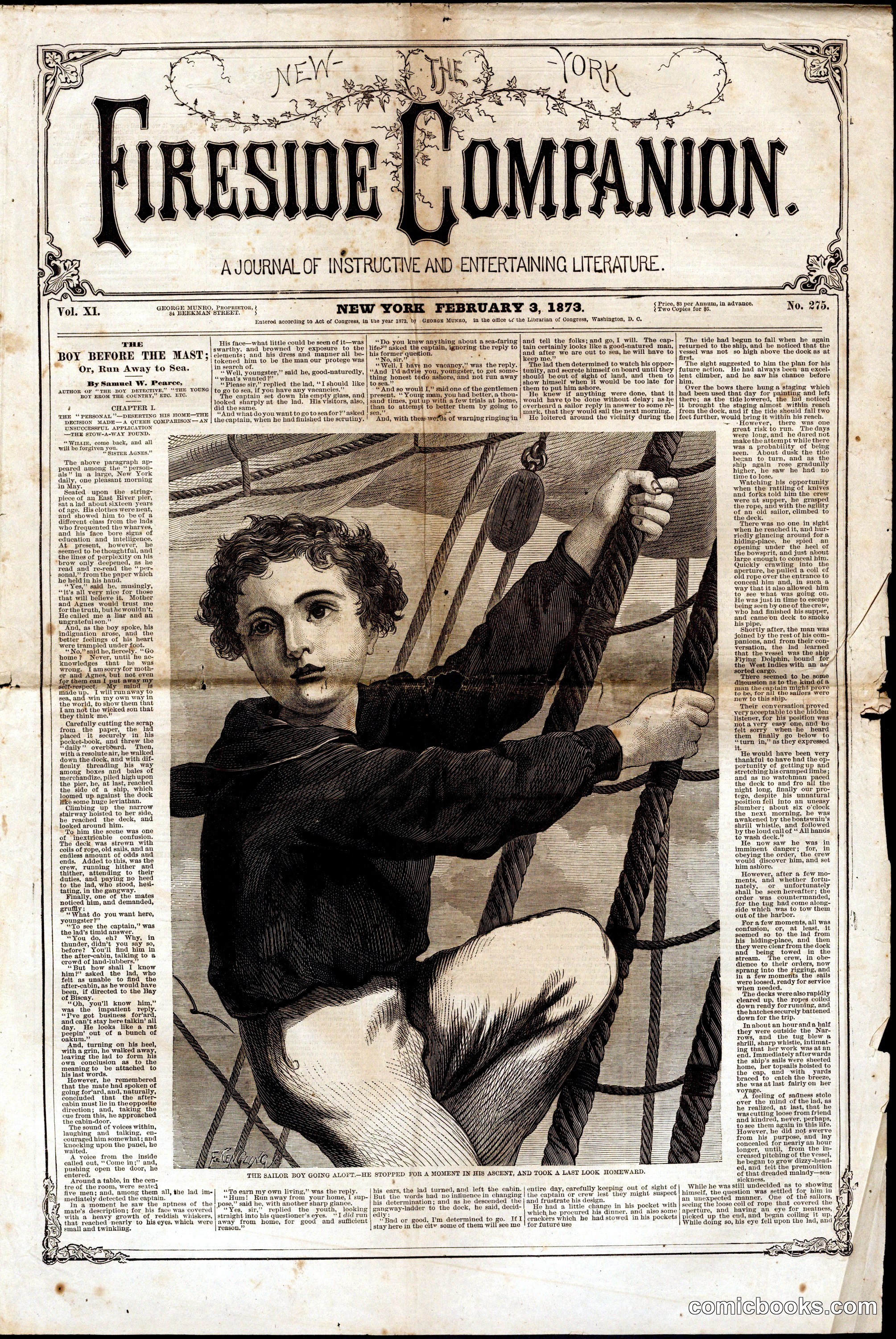 The New York Fireside Companion, Vol. XI, No. 275