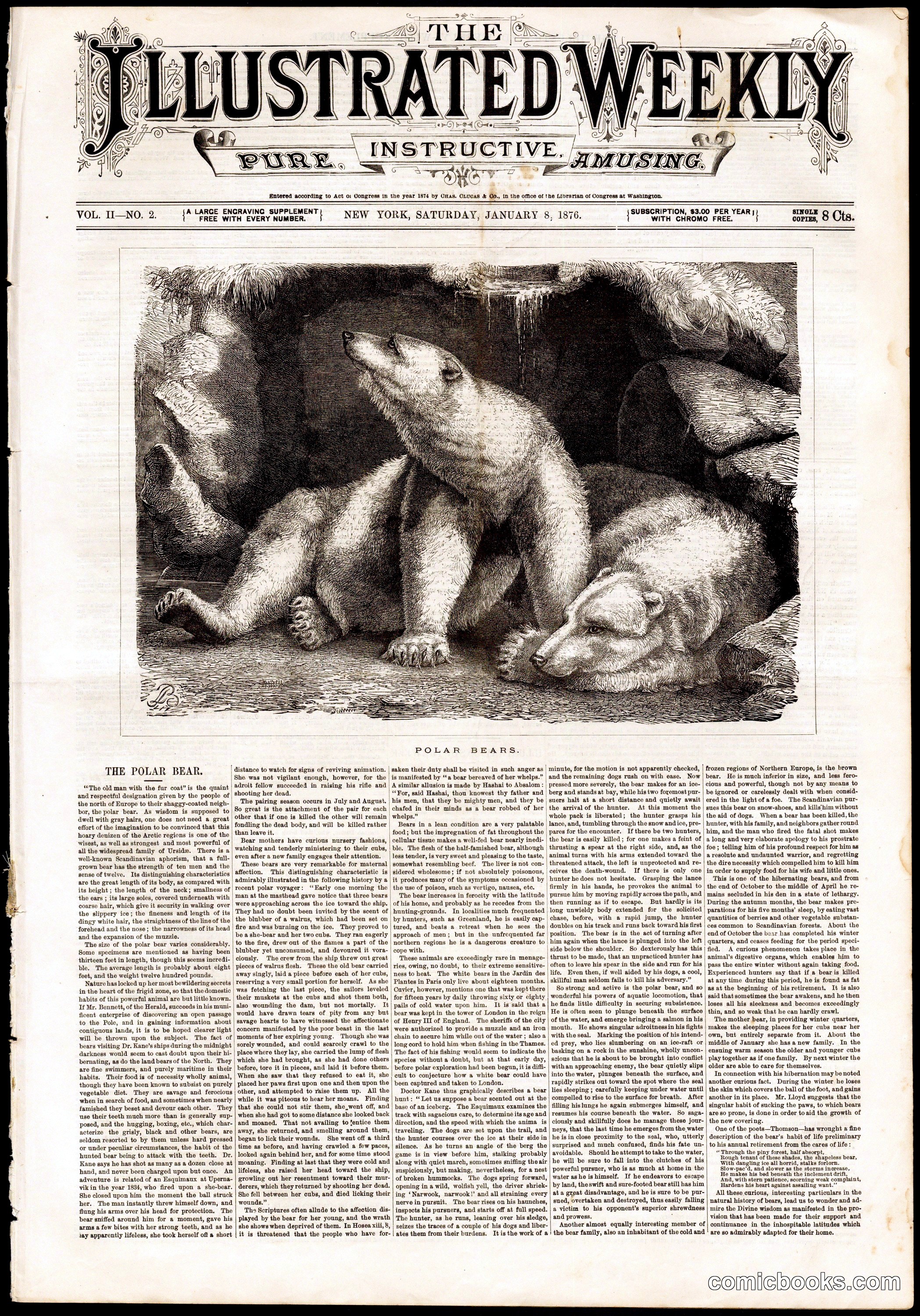 The Illustrated Weekly: Polar Bears