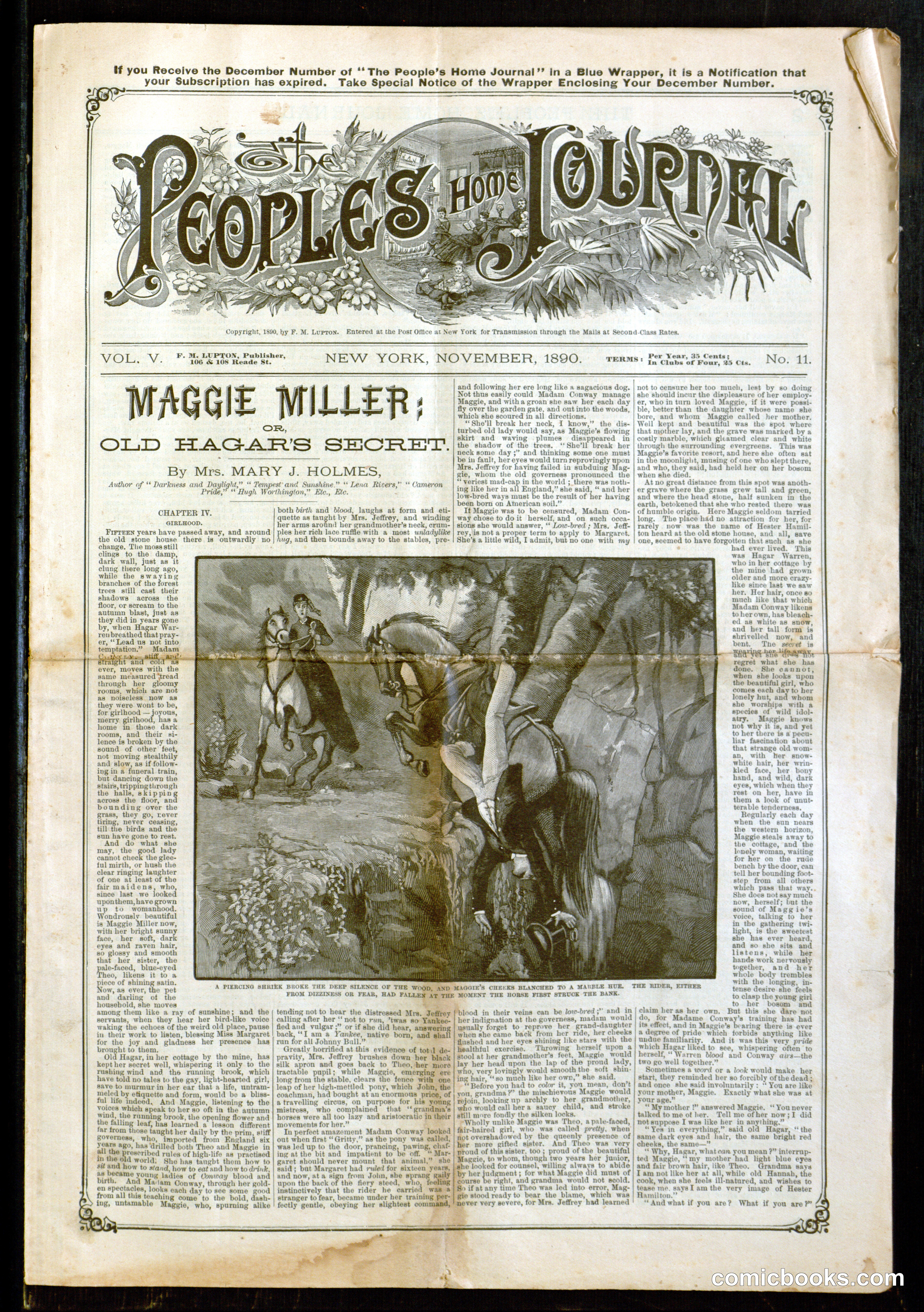 The People's Home Journal, Vol. V, No. 11
