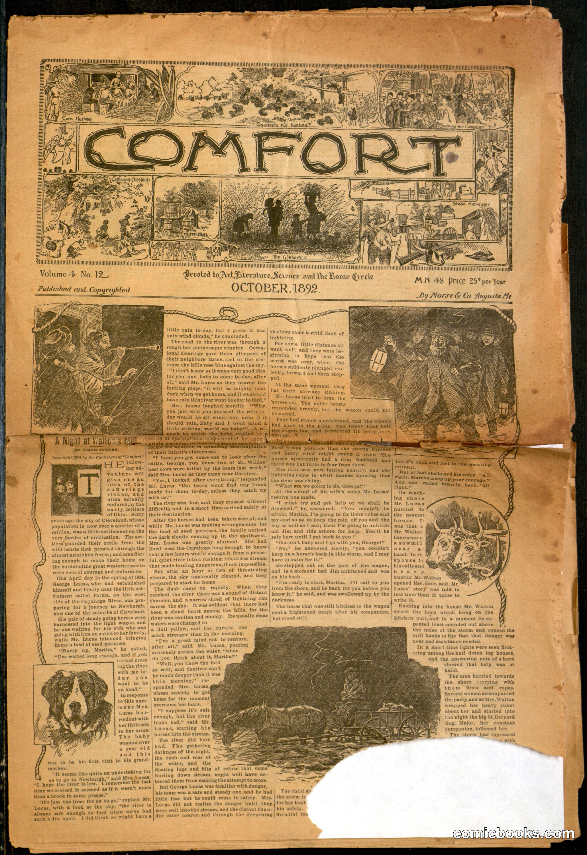 Comfort, Volume 4, No. 12