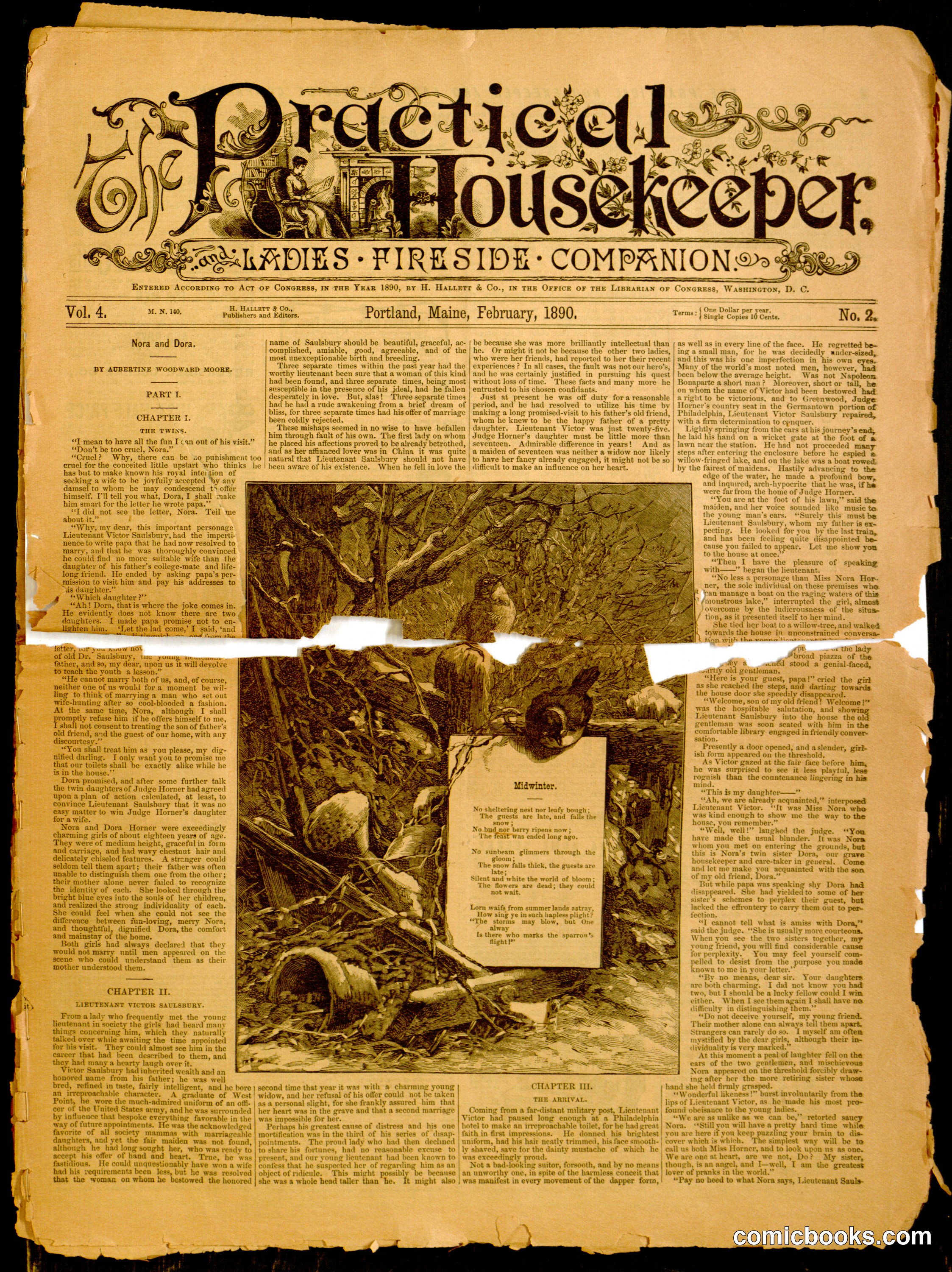 The Practical Housekeeper, and Ladies' Fireside Companion
