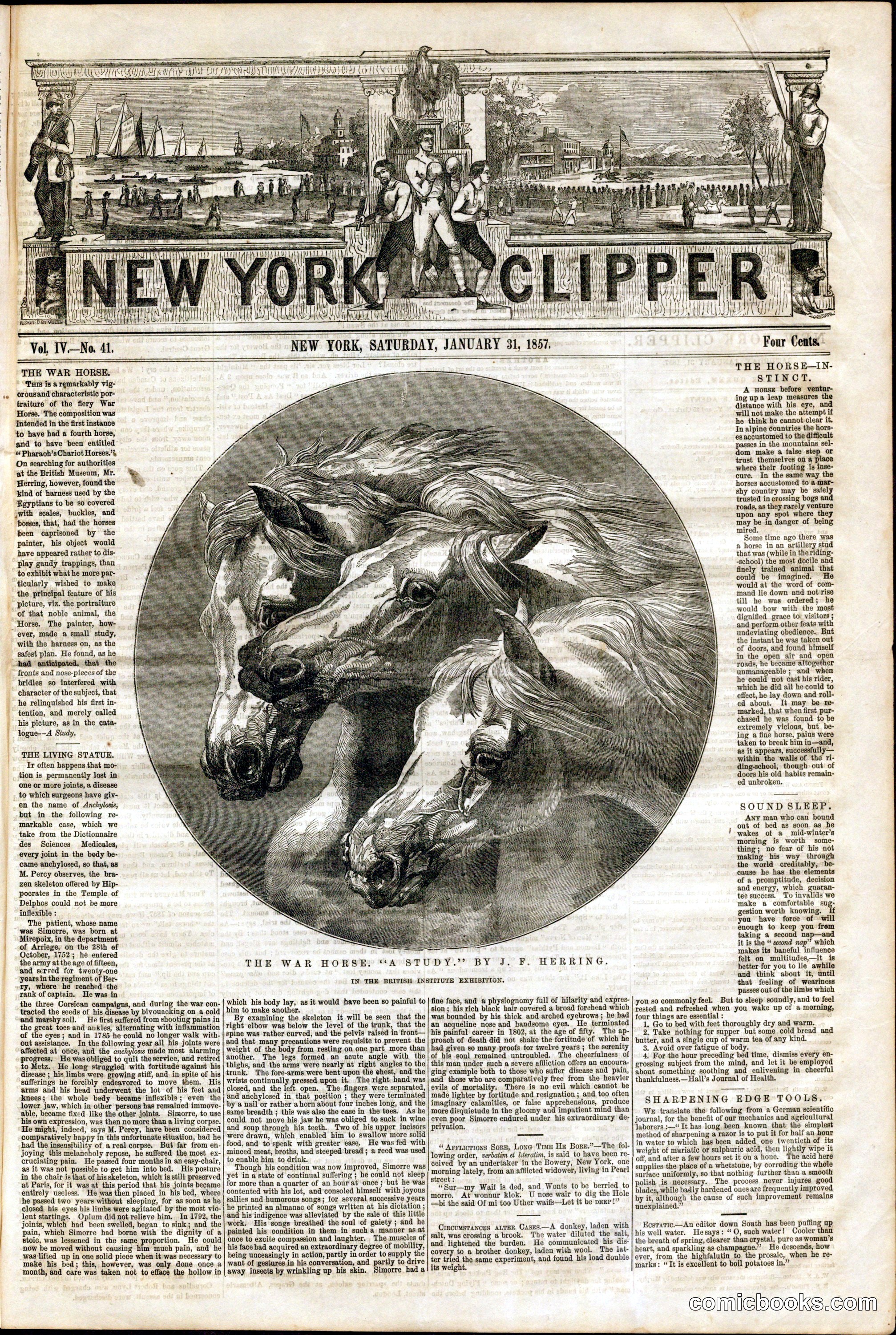 The War Horse: A Study